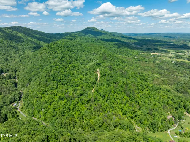 $425,000 | 950 Caney Creek Lane, Greeneville, TN 37745