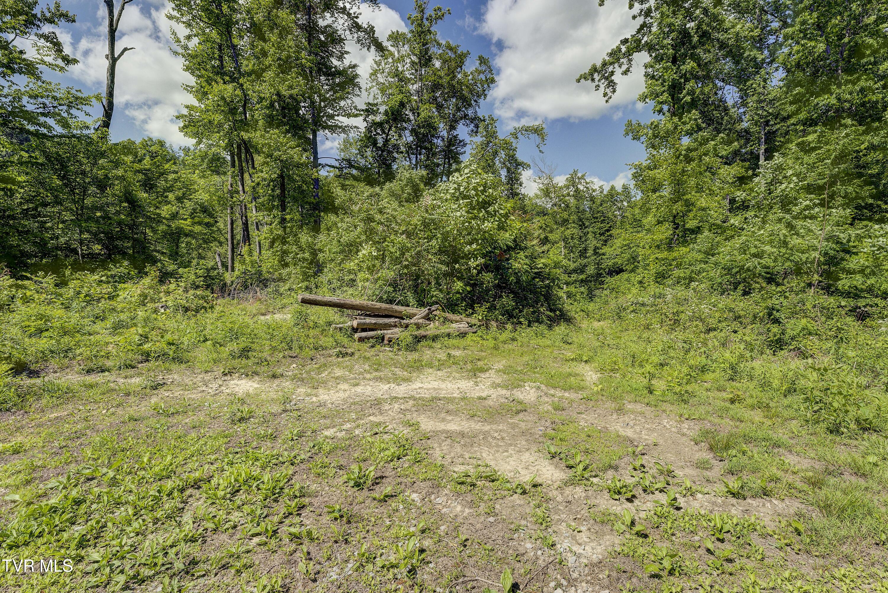 950 Caney Creek Lane Greeneville, TN 37745 - Photo 12 of 51 VaneyCreek-5