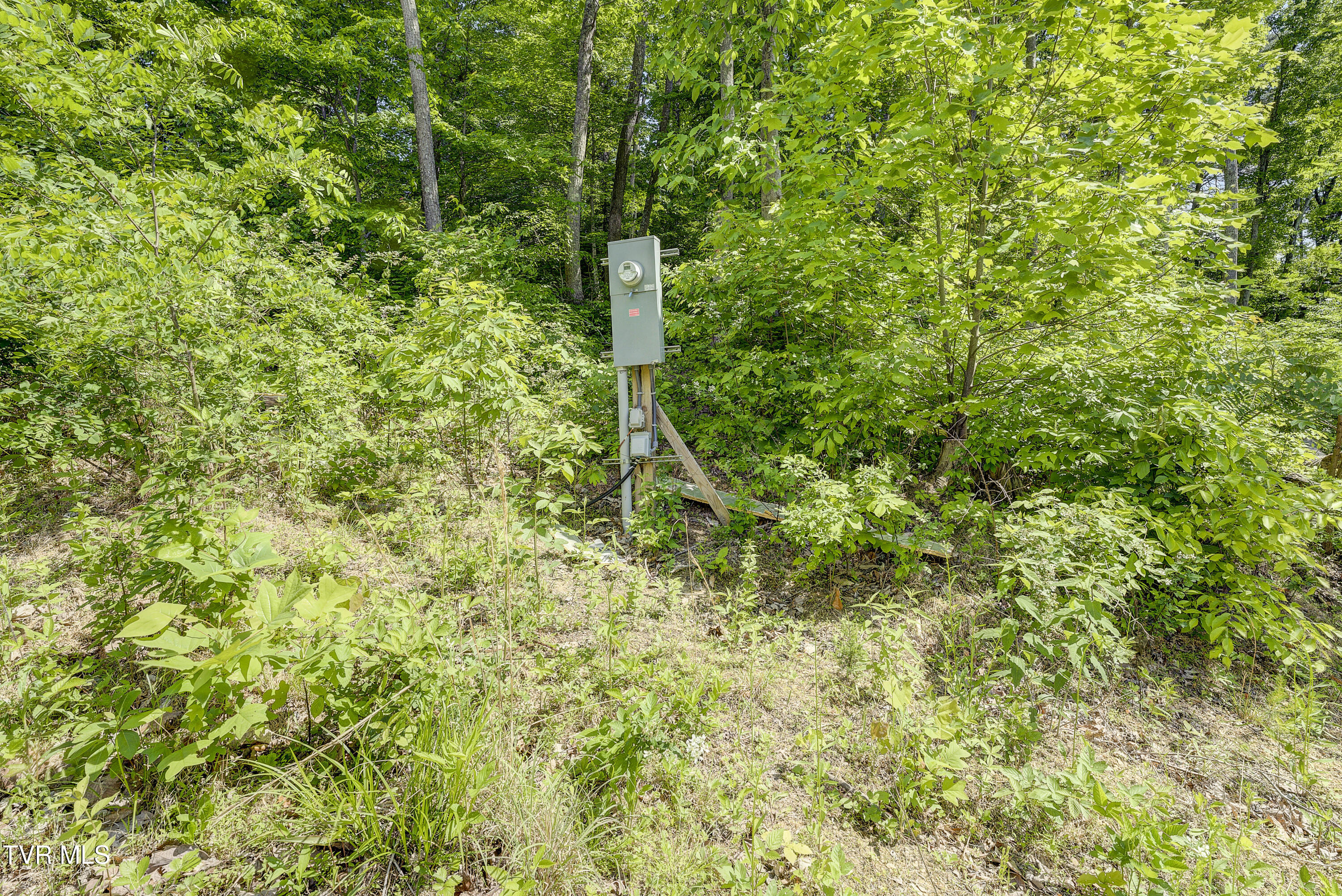 950 Caney Creek Lane Greeneville, TN 37745 - Photo 13 of 51 VaneyCreek-6