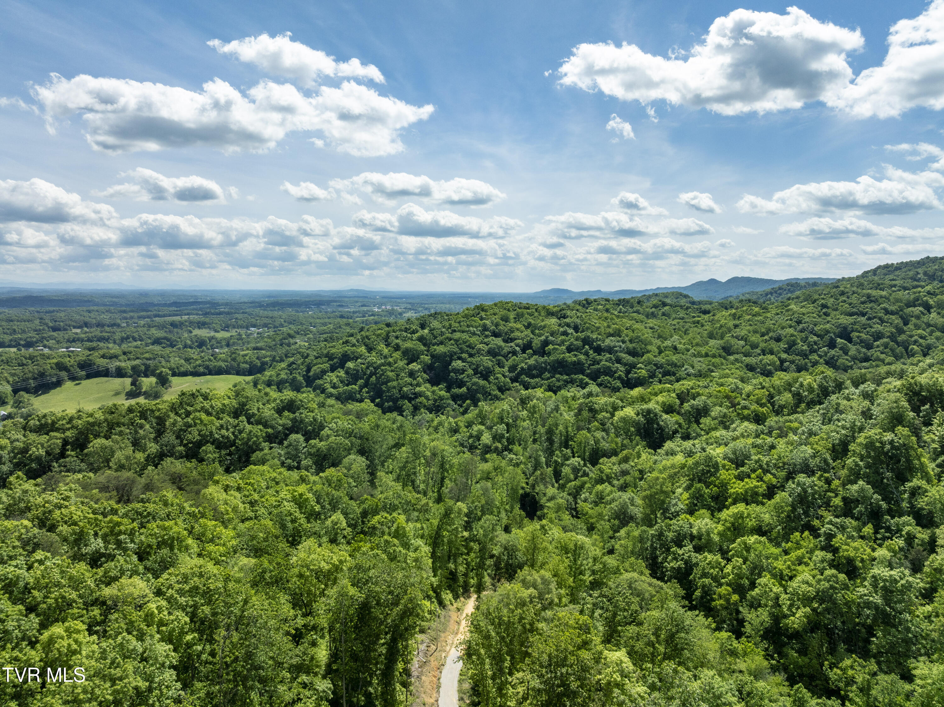 950 Caney Creek Lane Greeneville, TN 37745 - Photo 14 of 51 CaneyCreek-aerials-1