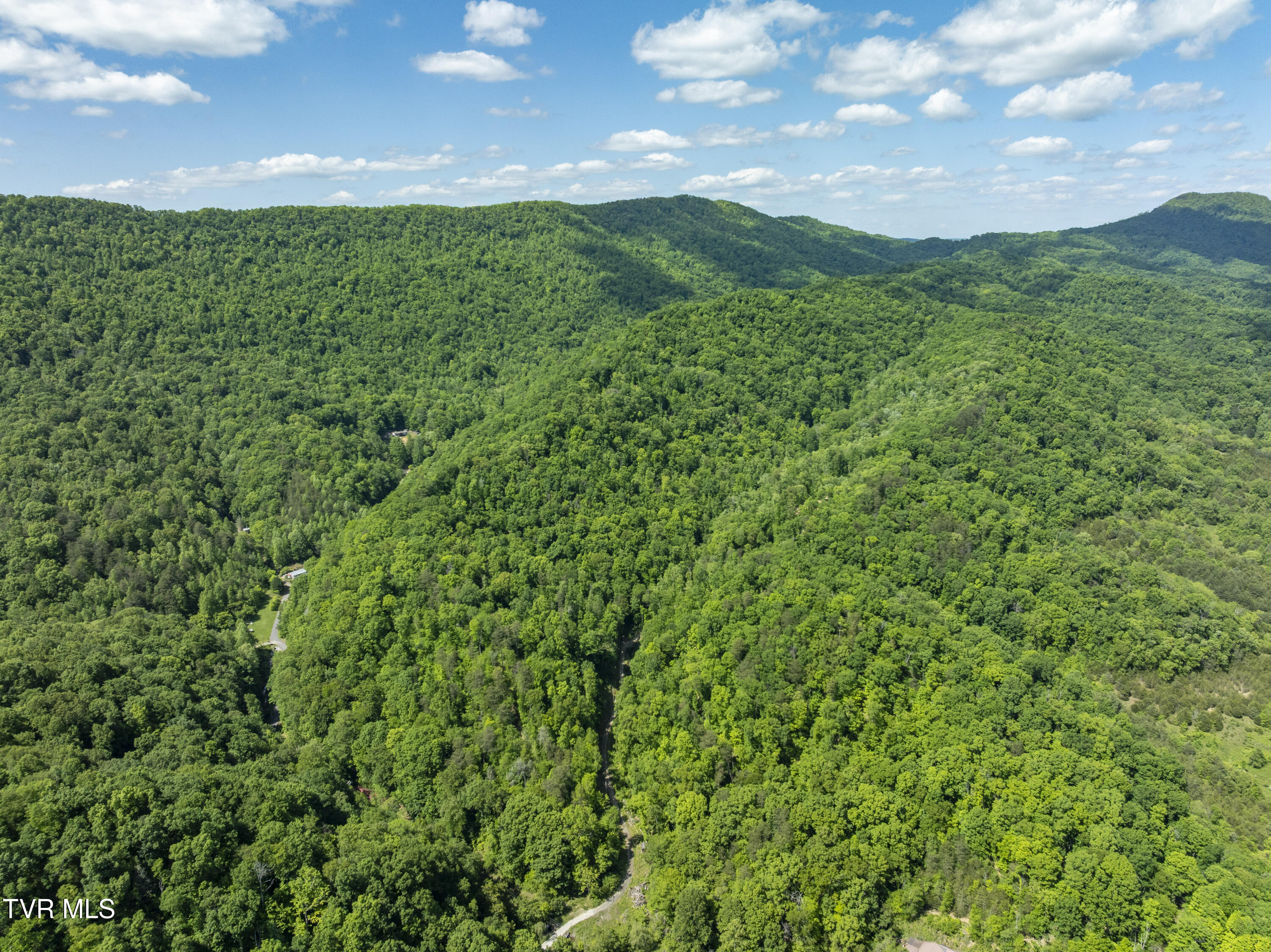 950 Caney Creek Lane Greeneville, TN 37745 - Photo 16 of 51 CaneyCreek-aerials-3