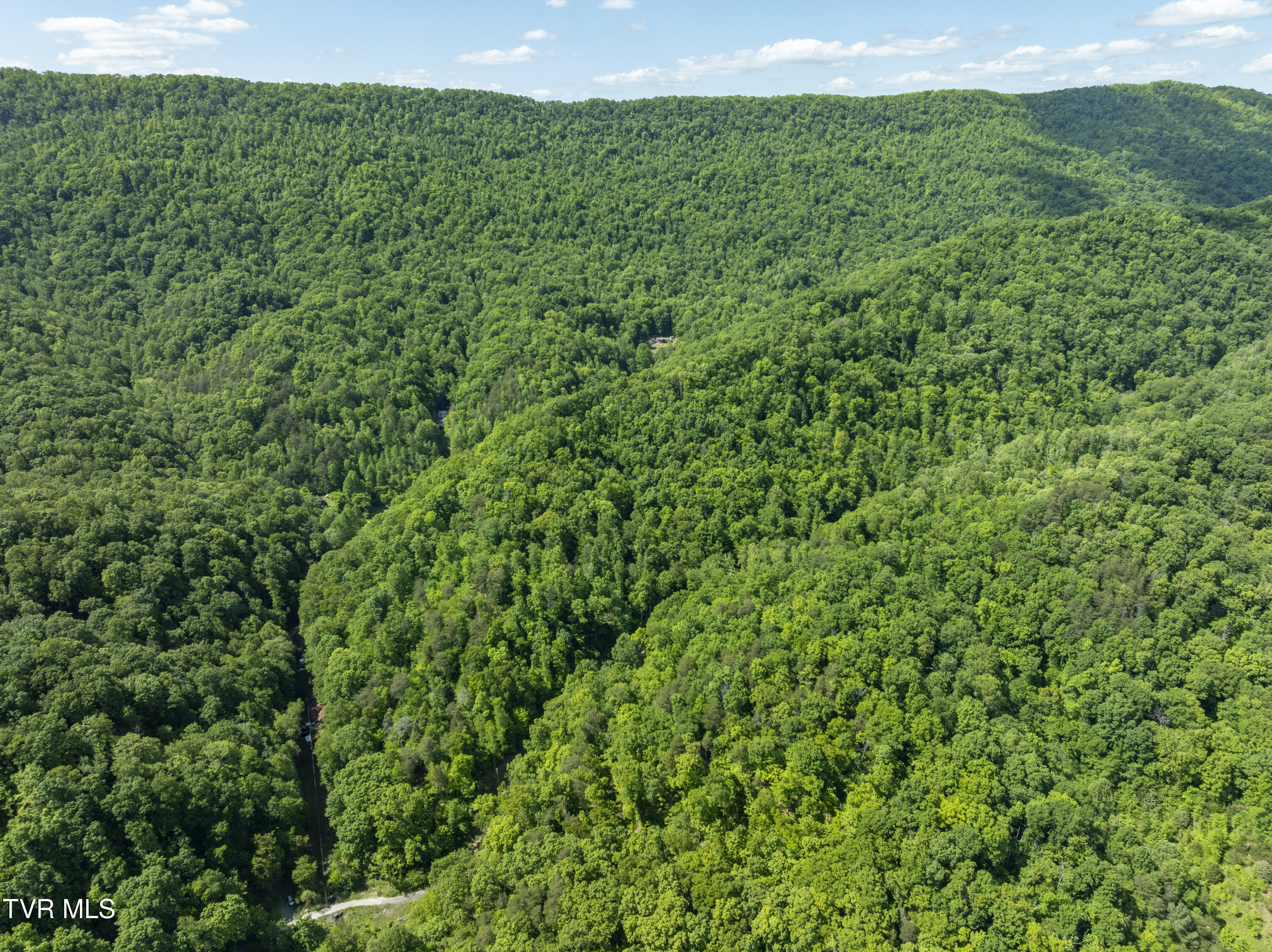 950 Caney Creek Lane Greeneville, TN 37745 - Photo 17 of 51 CaneyCreek-aerials-4