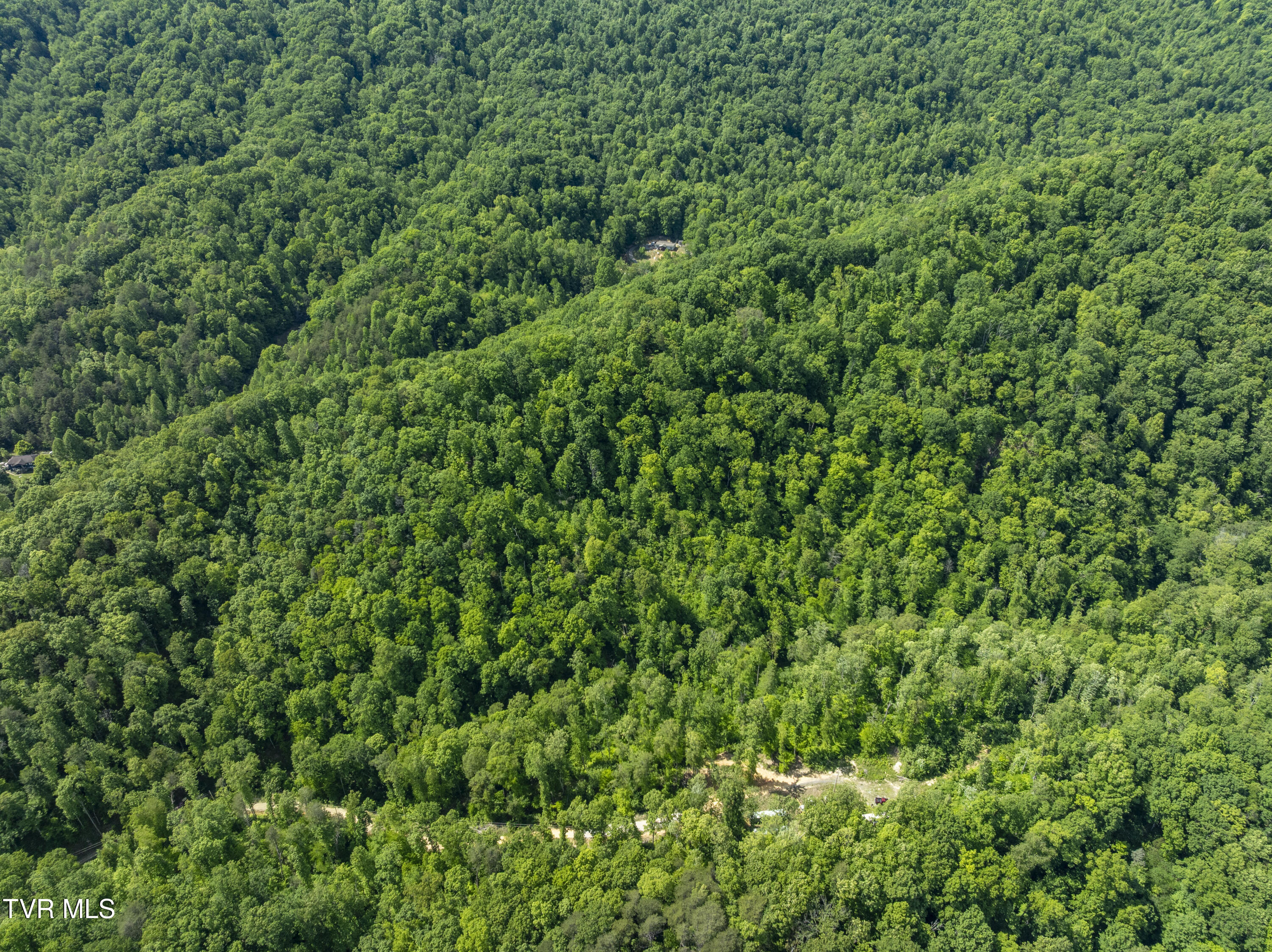 950 Caney Creek Lane Greeneville, TN 37745 - Photo 19 of 51 CaneyCreek-aerials-6