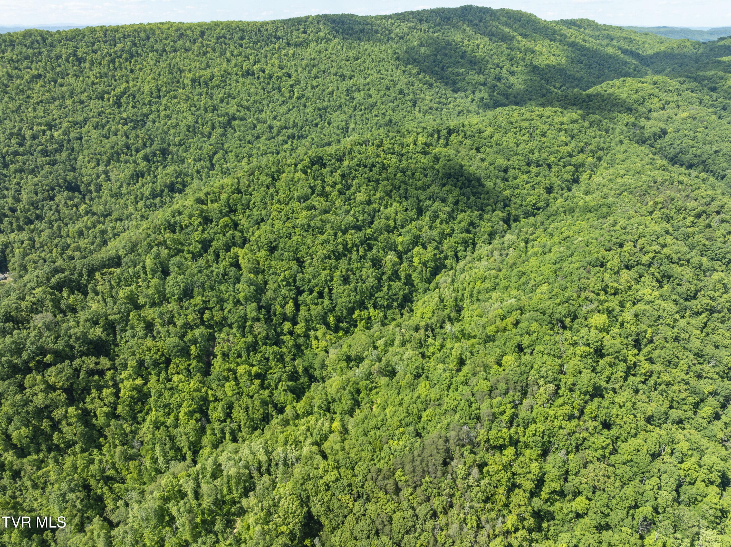 950 Caney Creek Lane Greeneville, TN 37745 - Photo 20 of 51 CaneyCreek-aerials-7