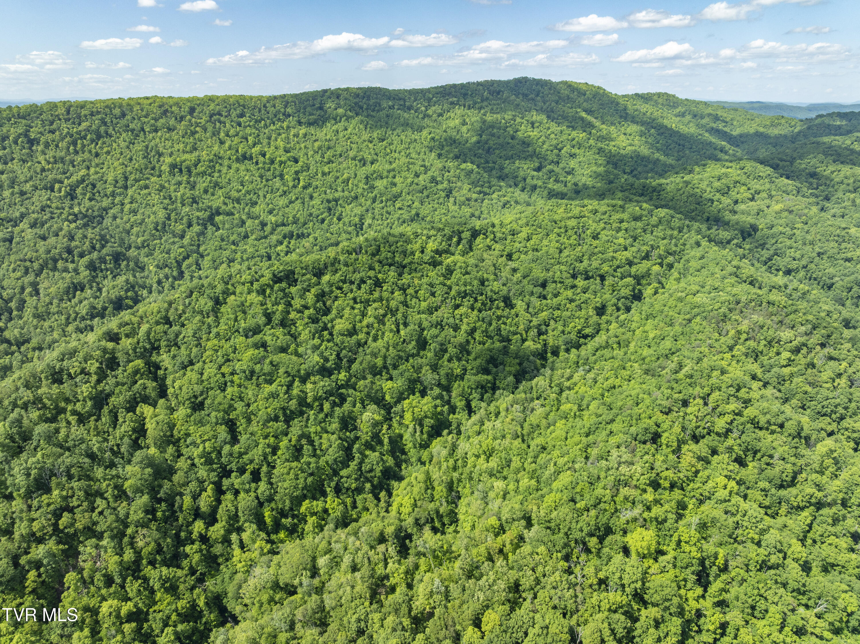950 Caney Creek Lane Greeneville, TN 37745 - Photo 21 of 51 CaneyCreek-aerials-8