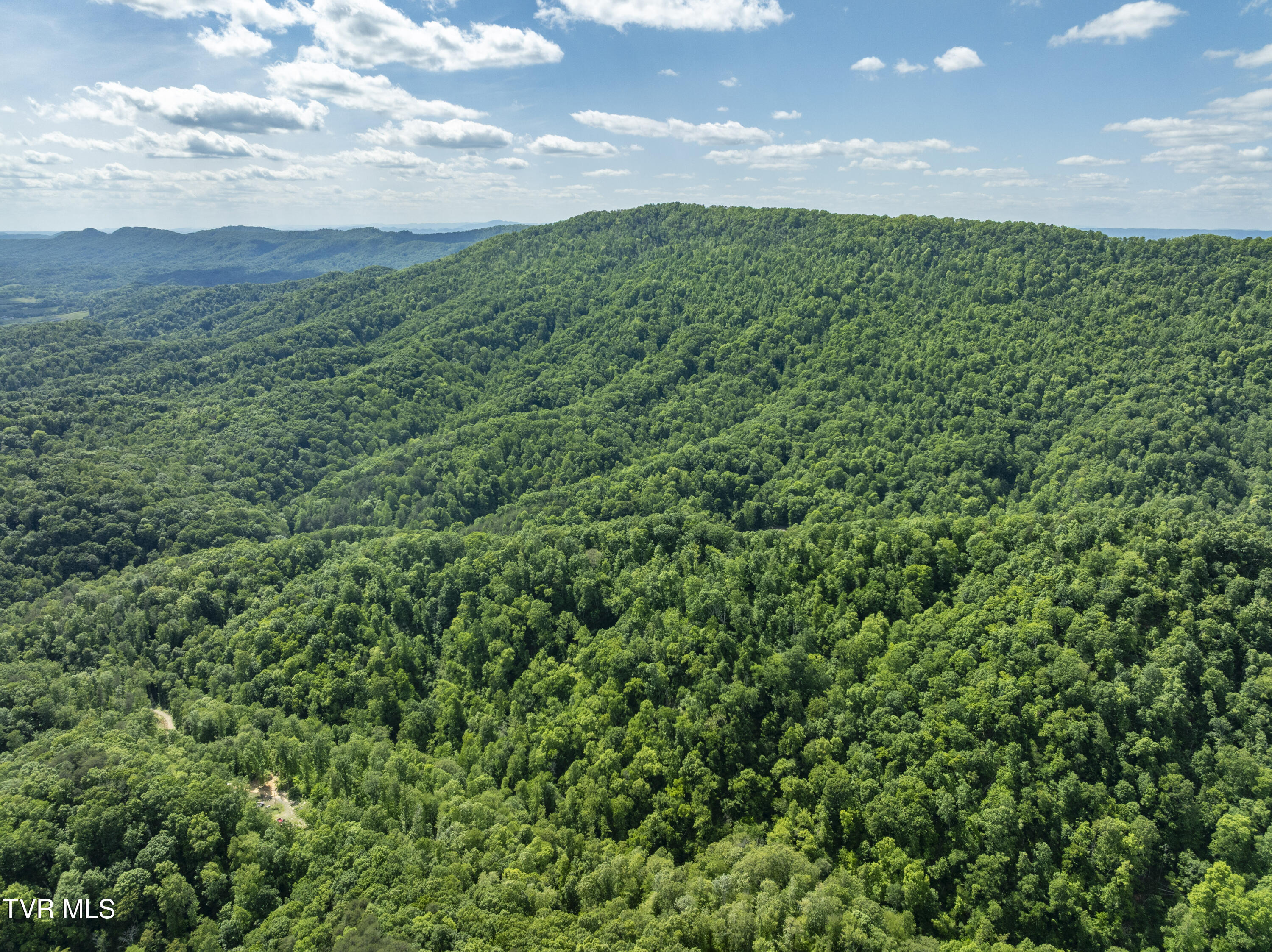 950 Caney Creek Lane Greeneville, TN 37745 - Photo 22 of 51 CaneyCreek-aerials-9
