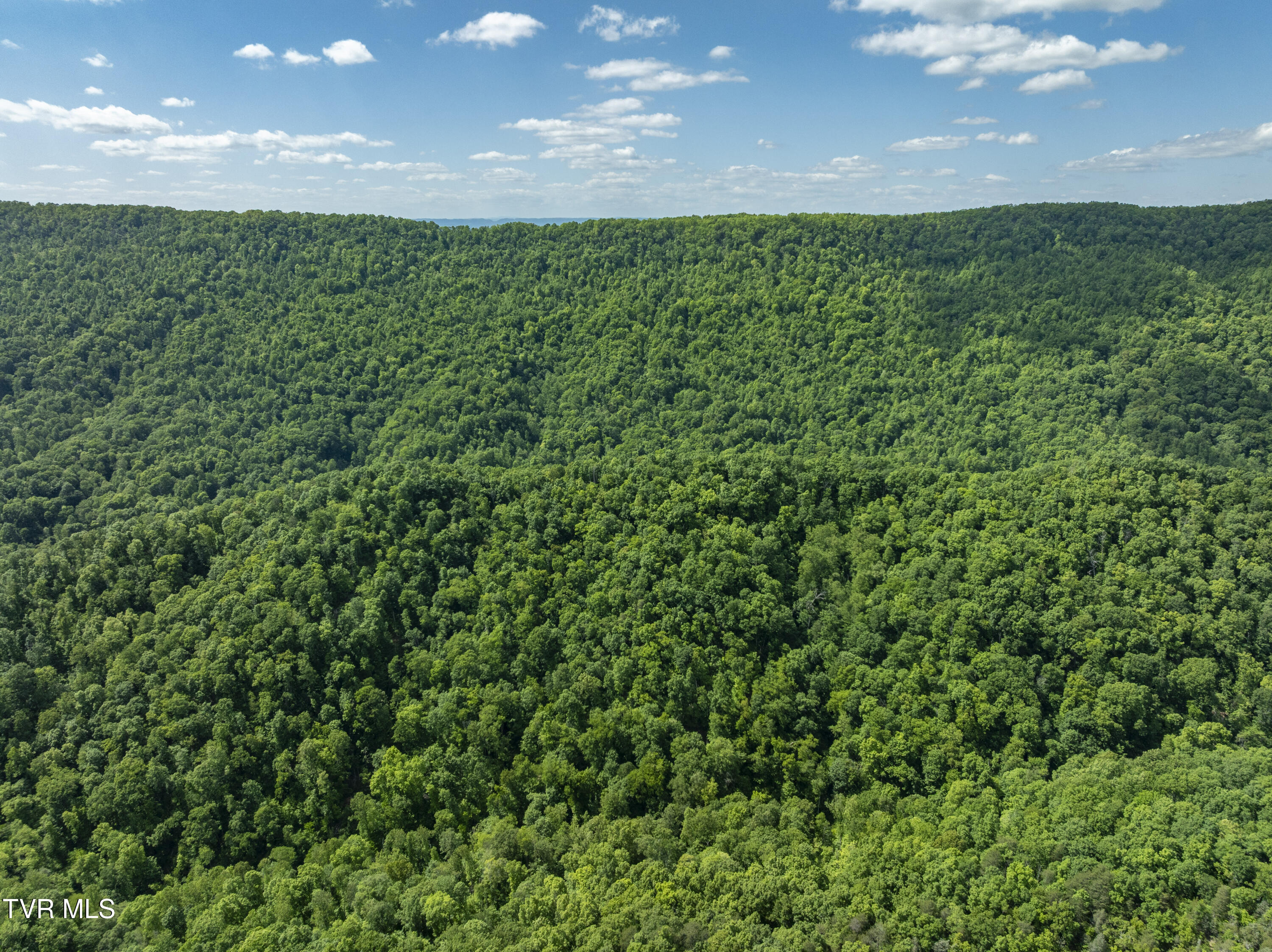 950 Caney Creek Lane Greeneville, TN 37745 - Photo 23 of 51 CaneyCreek-aerials-10