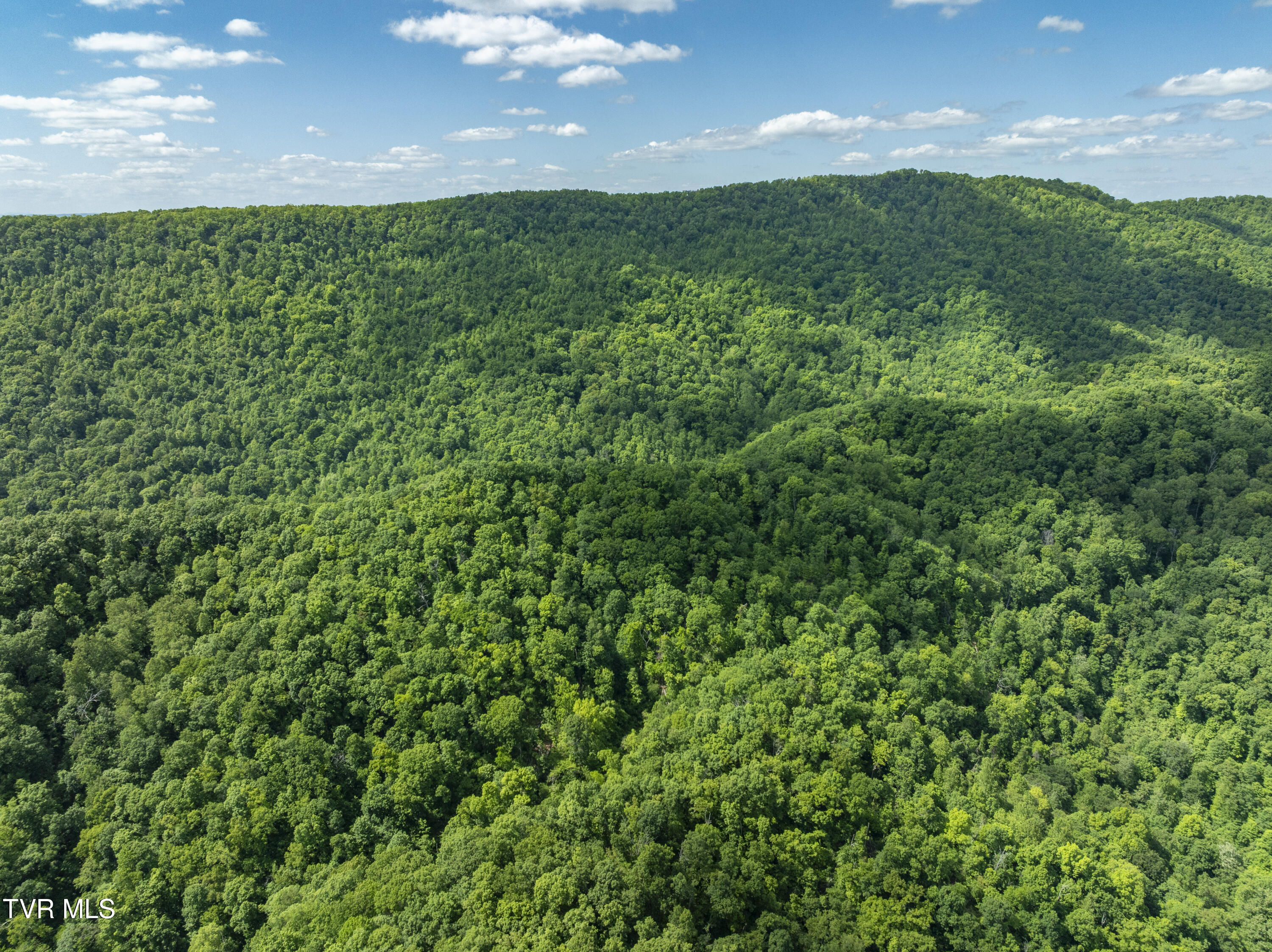950 Caney Creek Lane Greeneville, TN 37745 - Photo 24 of 51 CaneyCreek-aerials-11