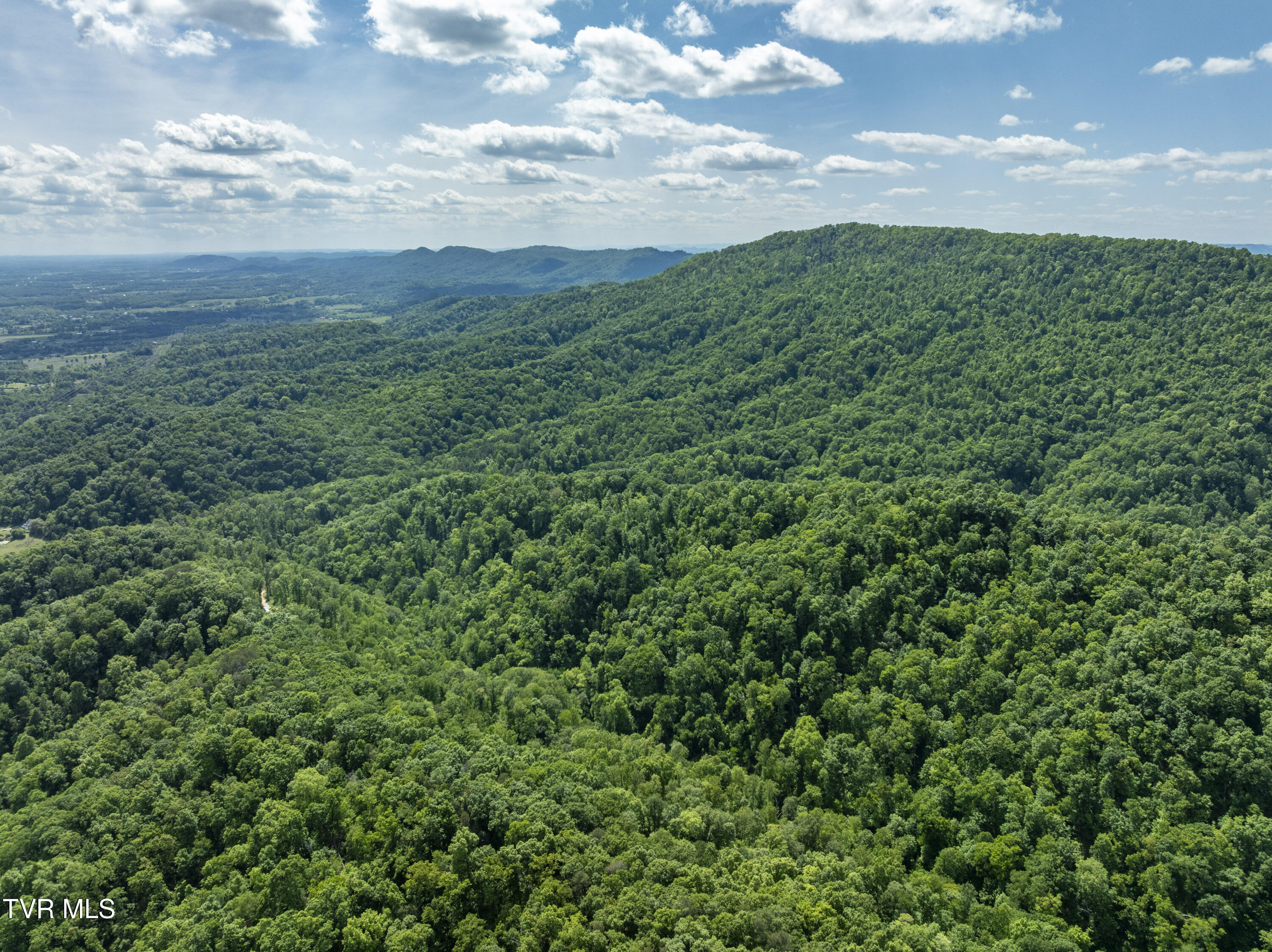 950 Caney Creek Lane Greeneville, TN 37745 - Photo 25 of 51 CaneyCreek-aerials-12