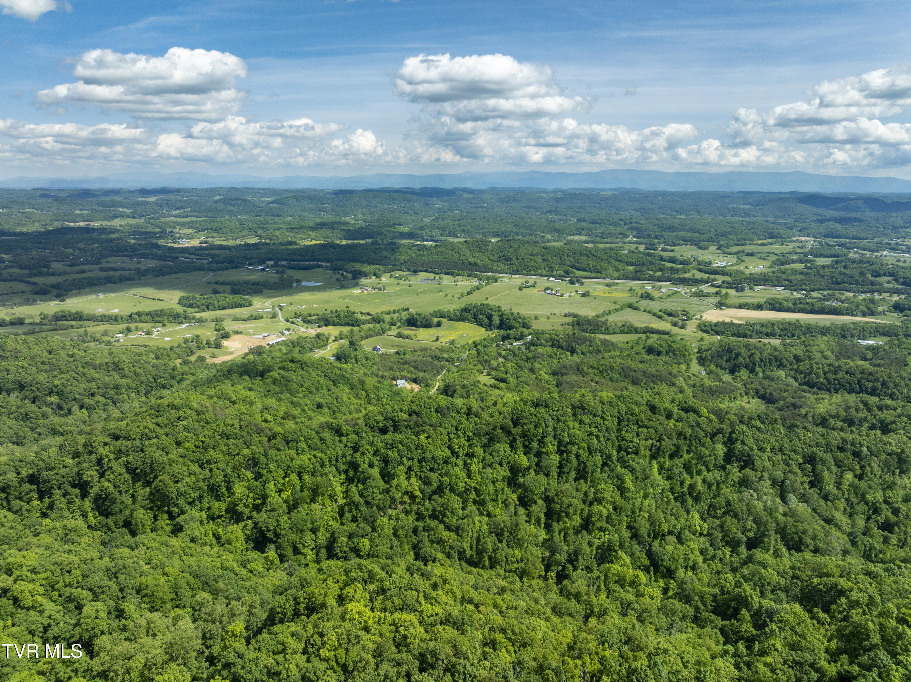 950 Caney Creek Lane Greeneville, TN 37745 - Photo 28 of 51 CaneyCreek-aerials-16