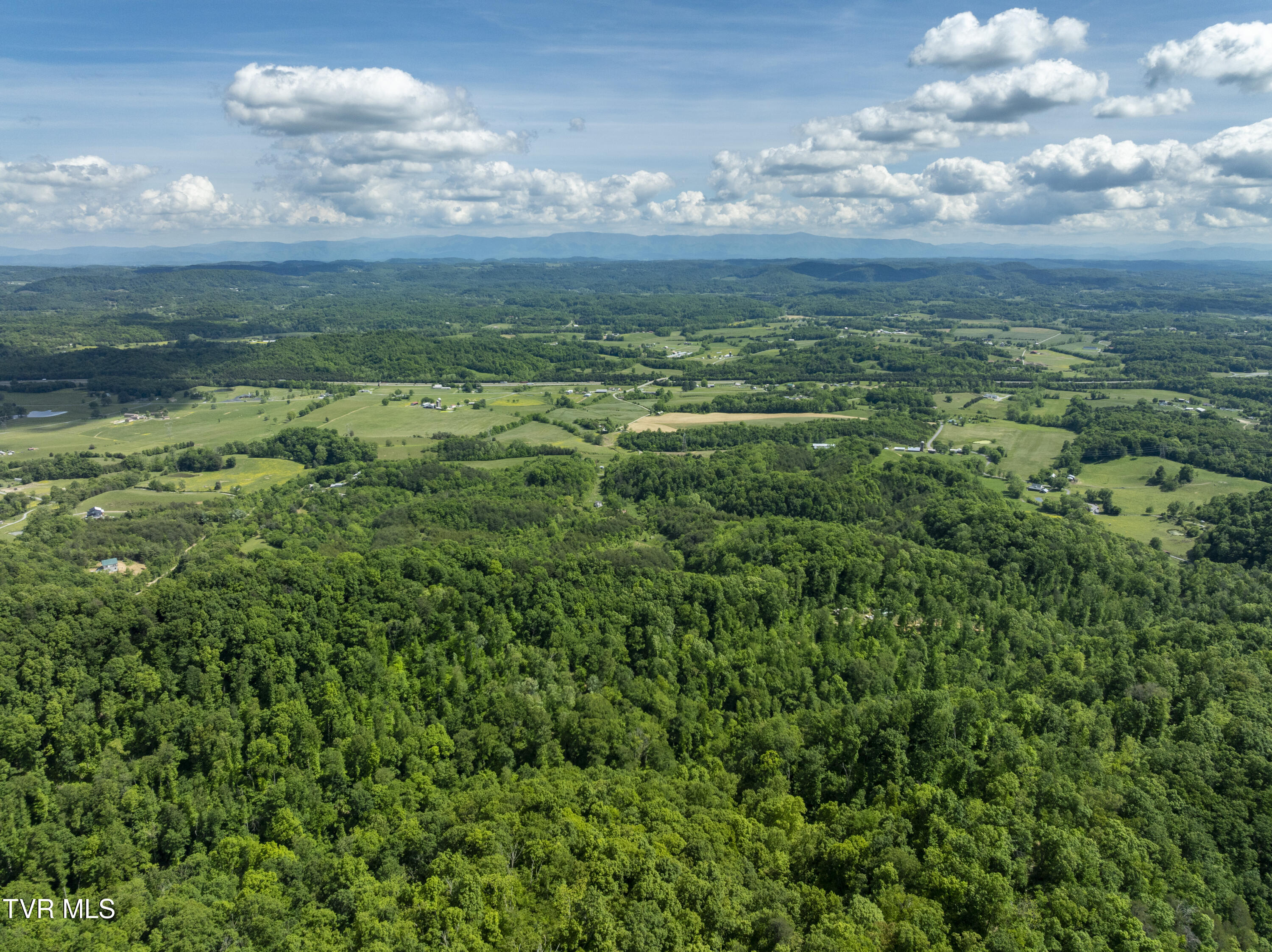 950 Caney Creek Lane Greeneville, TN 37745 - Photo 29 of 51 CaneyCreek-aerials-17