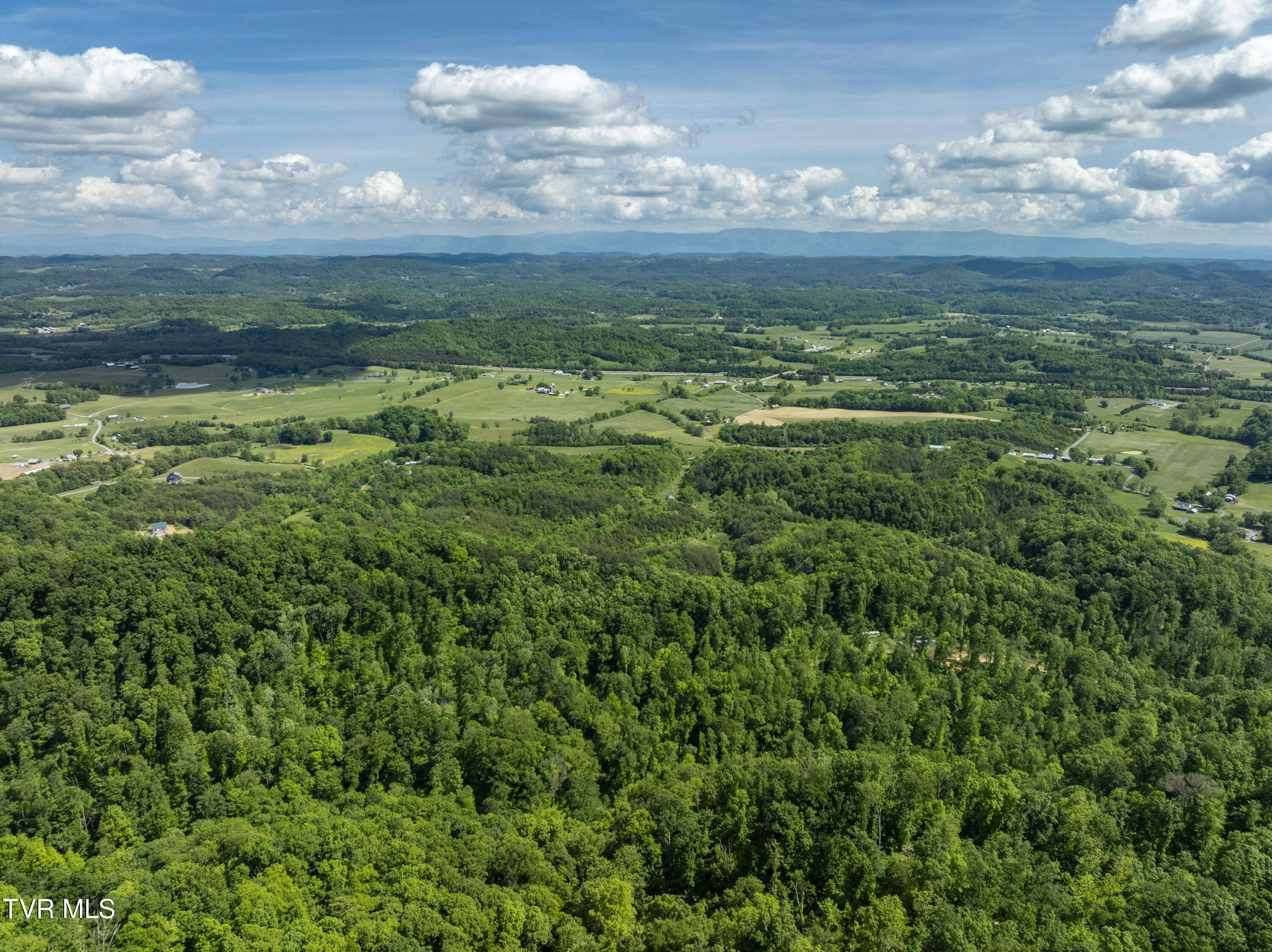 950 Caney Creek Lane Greeneville, TN 37745 - Photo 30 of 51 CaneyCreek-aerials-18
