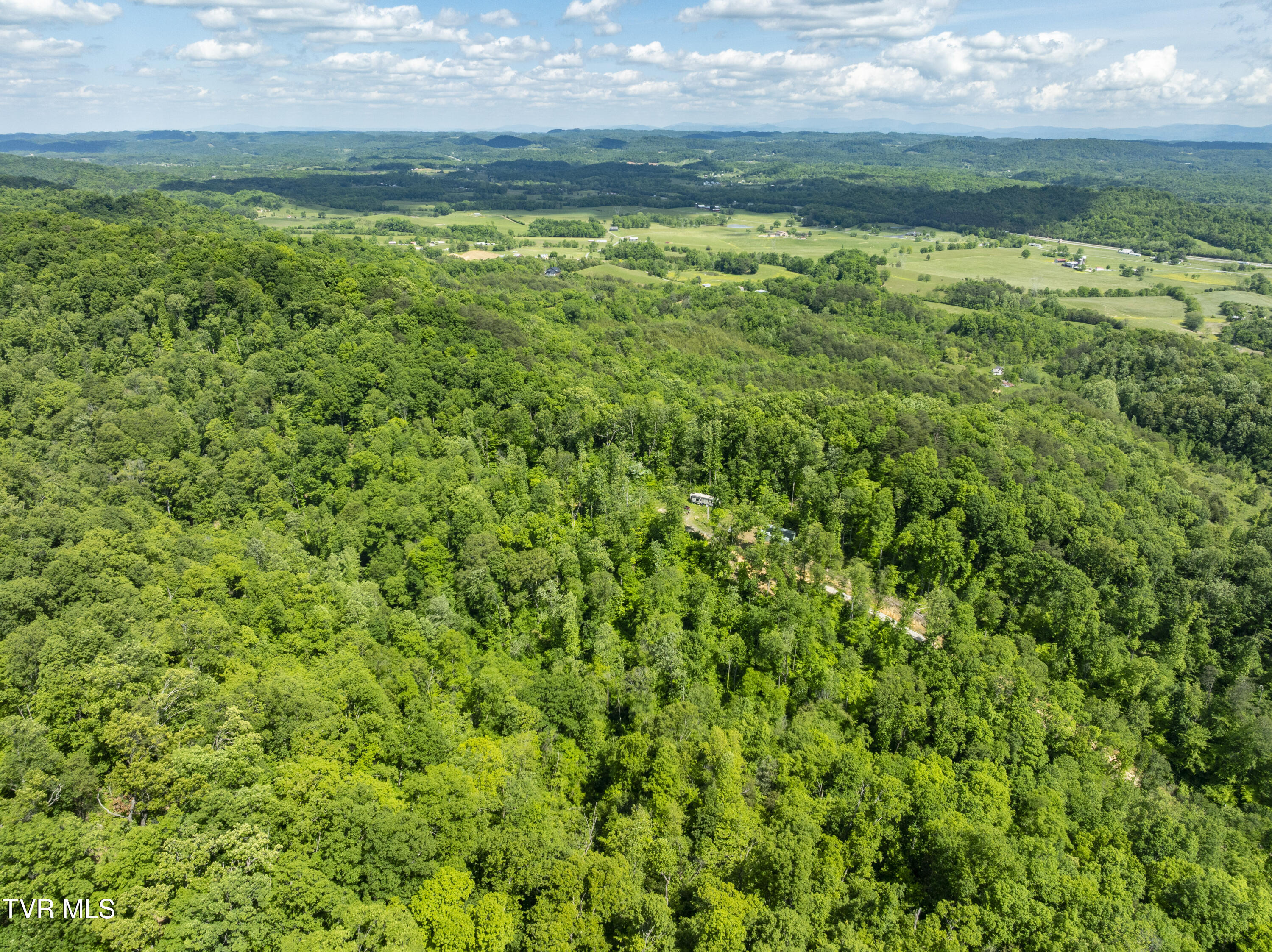 950 Caney Creek Lane Greeneville, TN 37745 - Photo 33 of 51 CaneyCreek-aerials-21