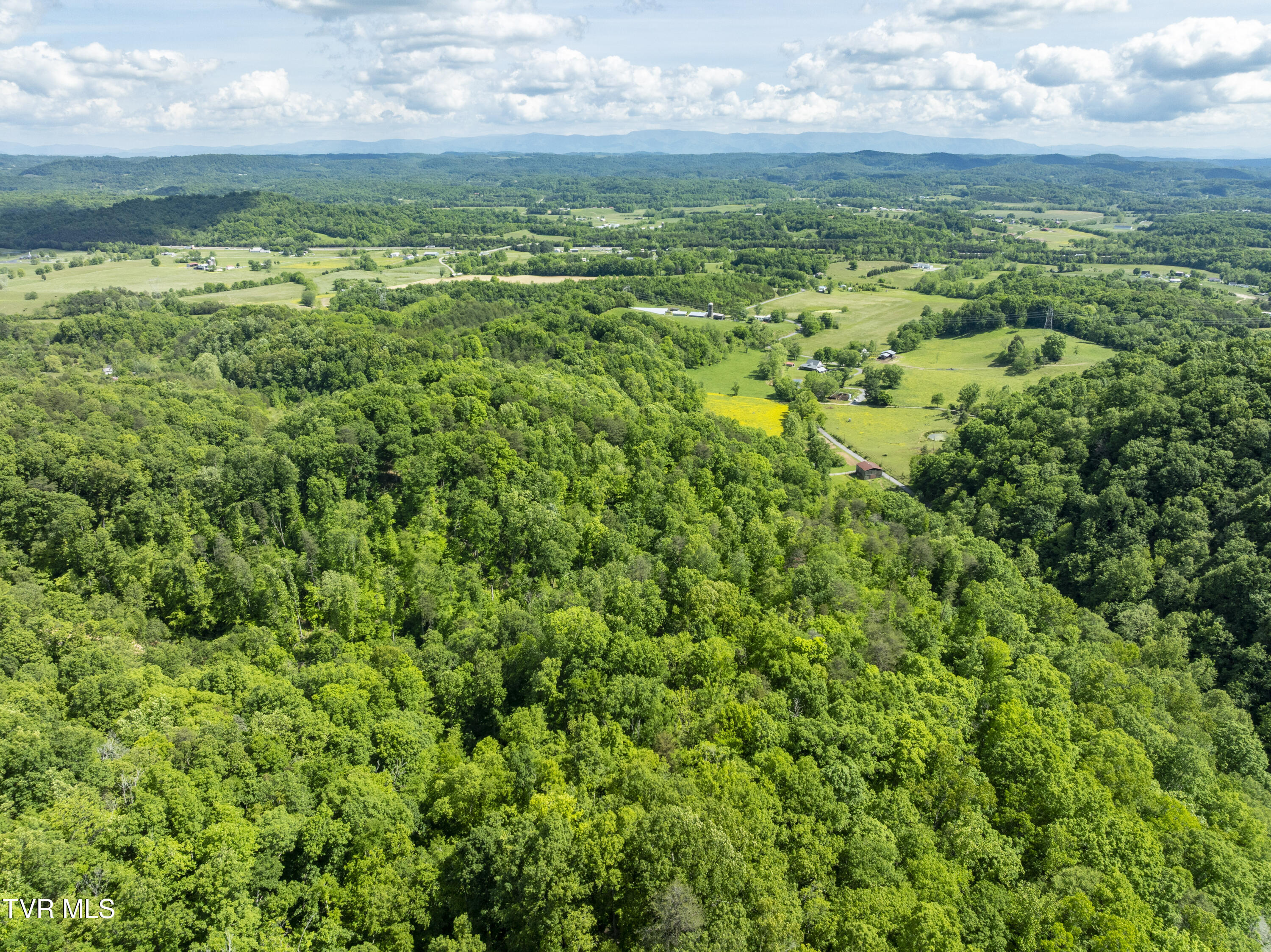 950 Caney Creek Lane Greeneville, TN 37745 - Photo 34 of 51 CaneyCreek-aerials-22