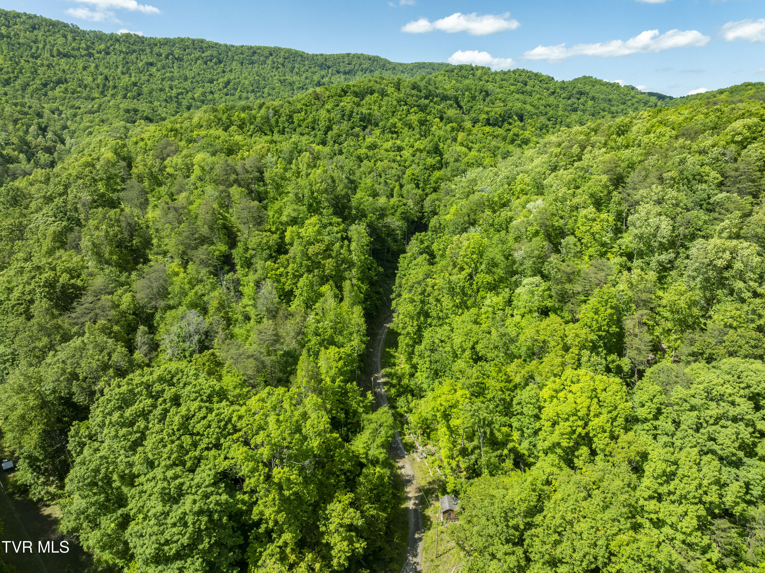 950 Caney Creek Lane Greeneville, TN 37745 - Photo 37 of 51 CaneyCreek-aerials-26