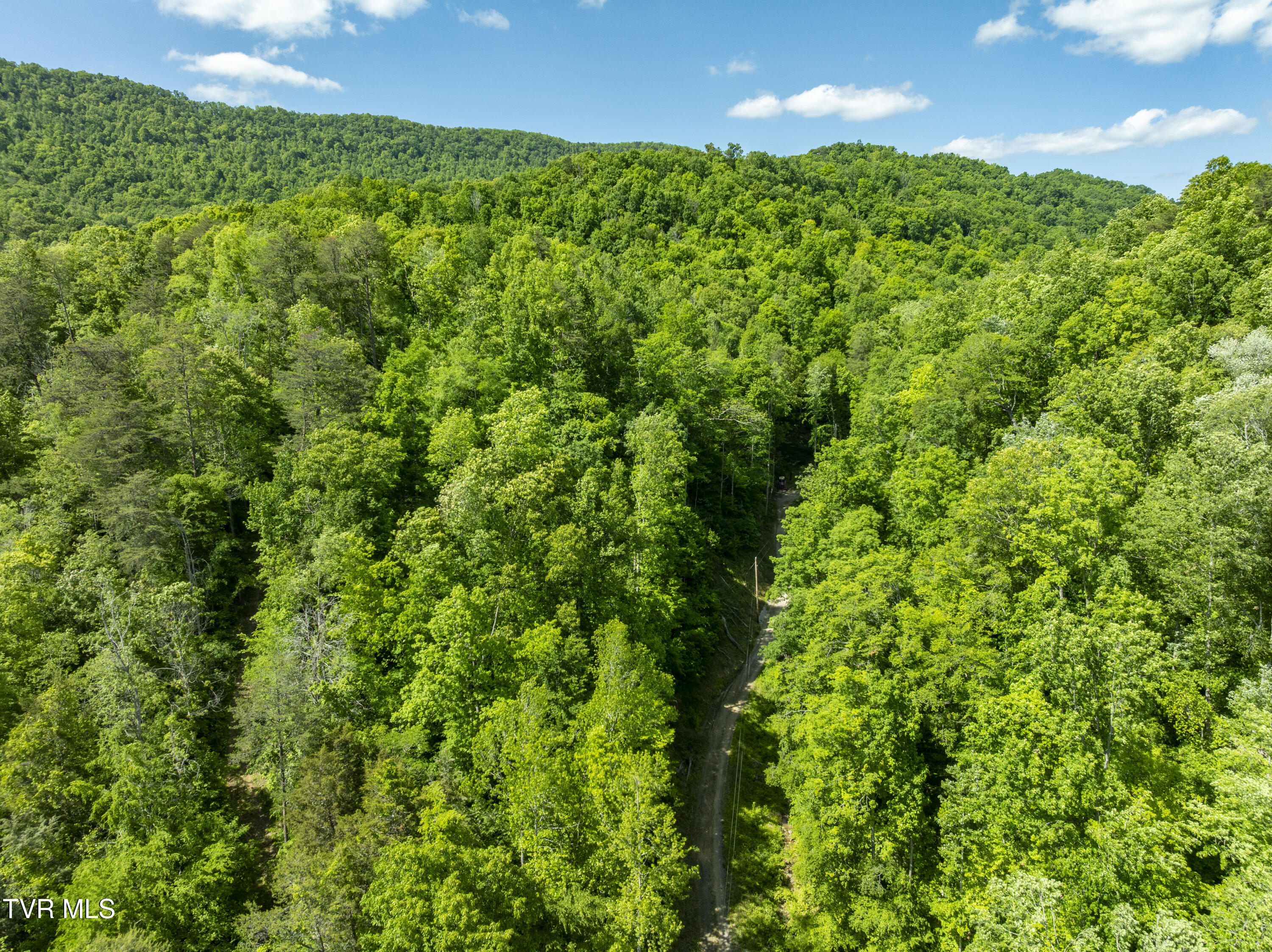 950 Caney Creek Lane Greeneville, TN 37745 - Photo 38 of 51 CaneyCreek-aerials-27