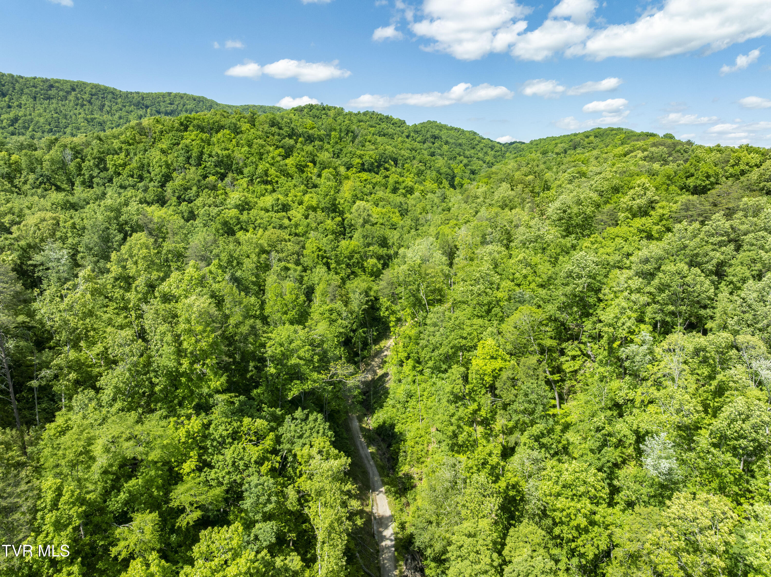 950 Caney Creek Lane Greeneville, TN 37745 - Photo 39 of 51 CaneyCreek-aerials-28