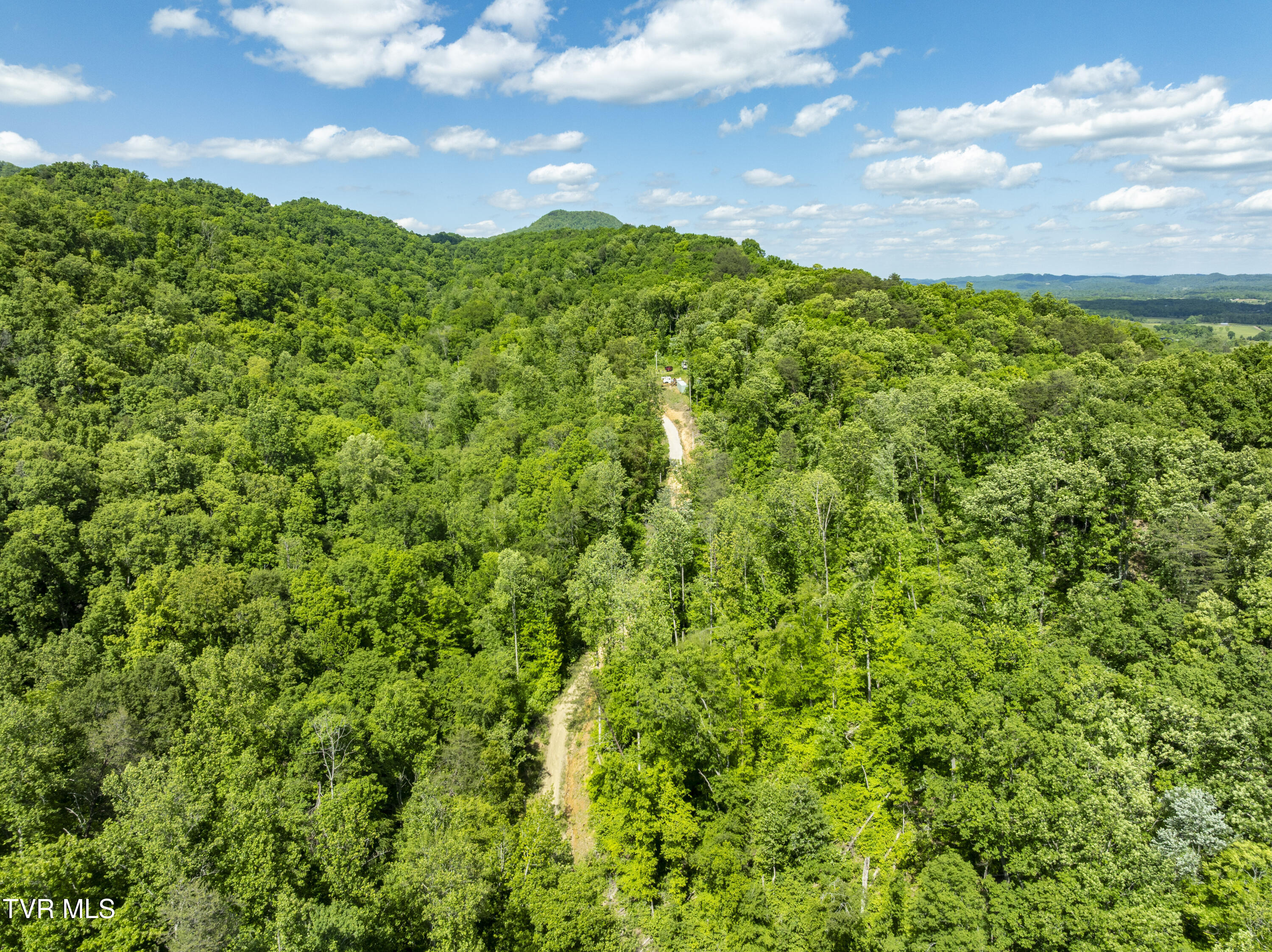 950 Caney Creek Lane Greeneville, TN 37745 - Photo 40 of 51 CaneyCreek-aerials-29