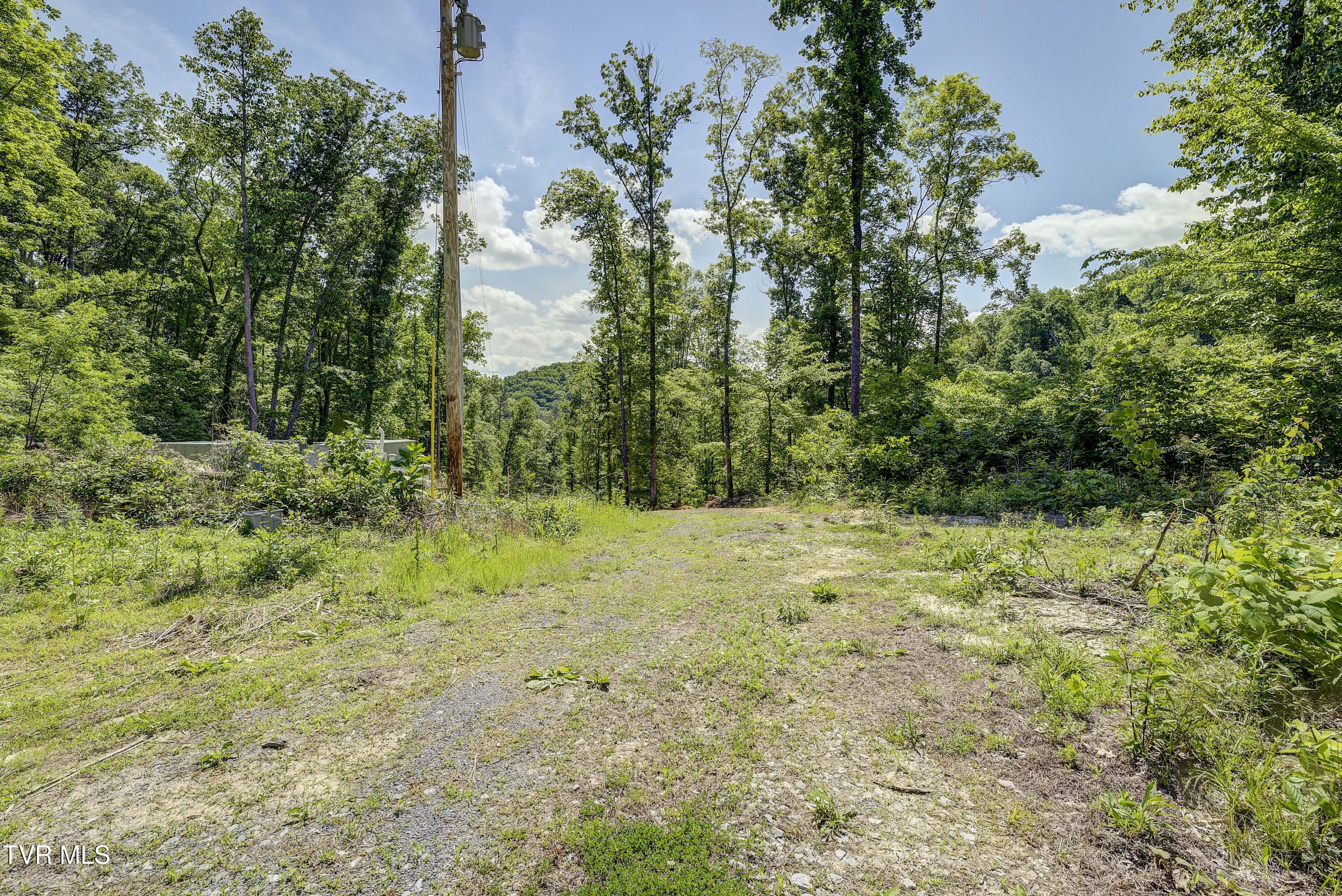 950 Caney Creek Lane Greeneville, TN 37745 - Photo 4 of 51 VaneyCreek-1