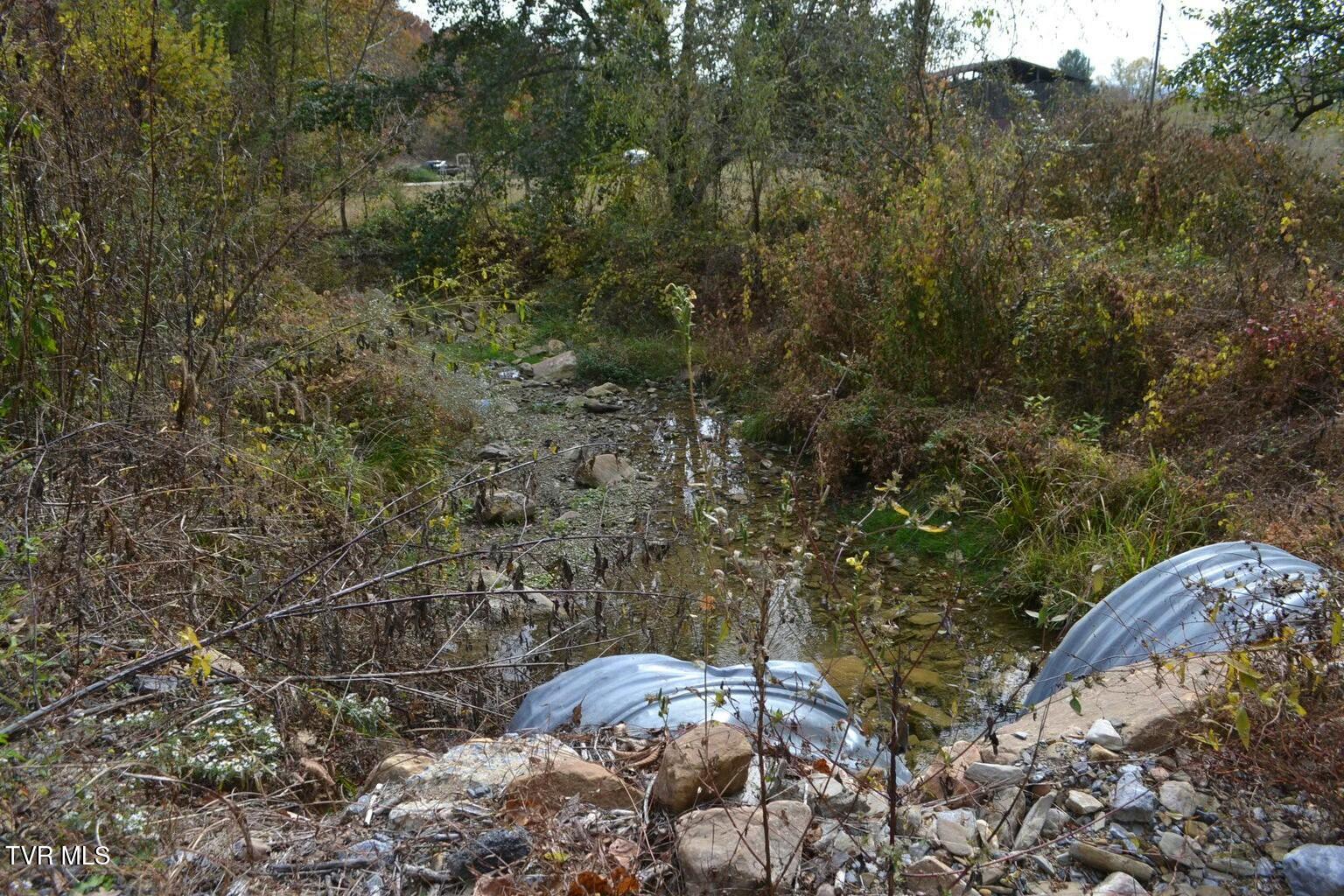 950 Caney Creek Lane Greeneville, TN 37745 - Photo 49 of 51 tempImageBrxOy0