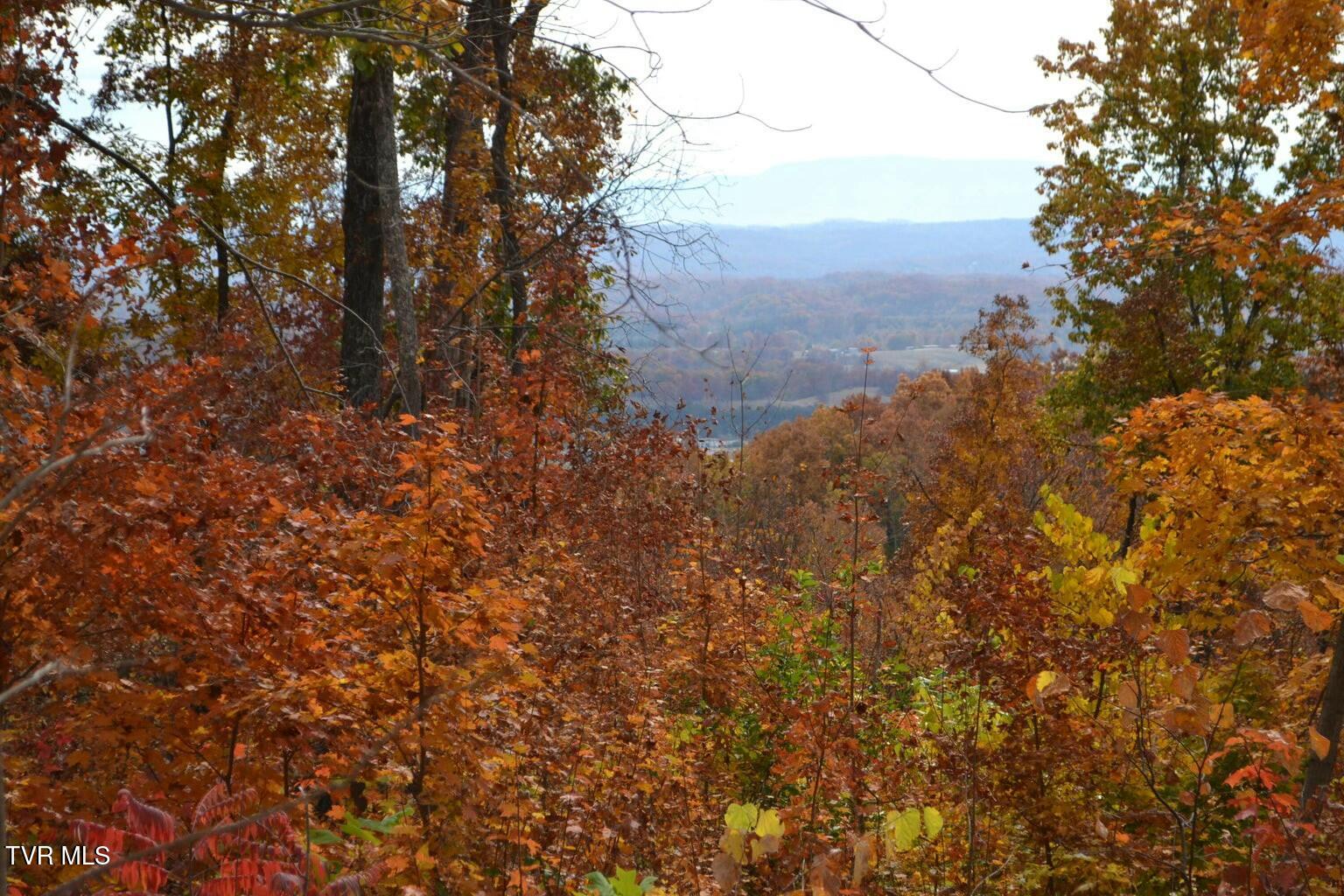 950 Caney Creek Lane Greeneville, TN 37745 - Photo 50 of 51 tempImagexrIOTJ