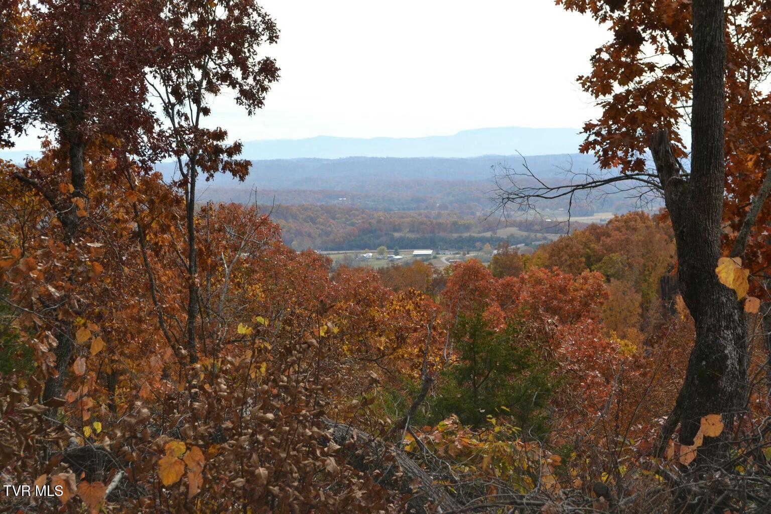 950 Caney Creek Lane Greeneville, TN 37745 - Photo 5 of 51 tempImagecoMzx6