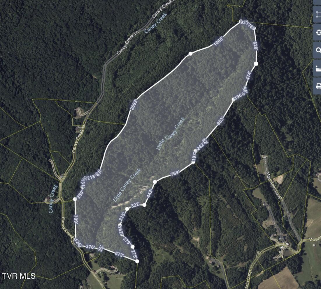 950 Caney Creek Lane Greeneville, TN 37745 - Photo 6 of 51 IMG_8980-2