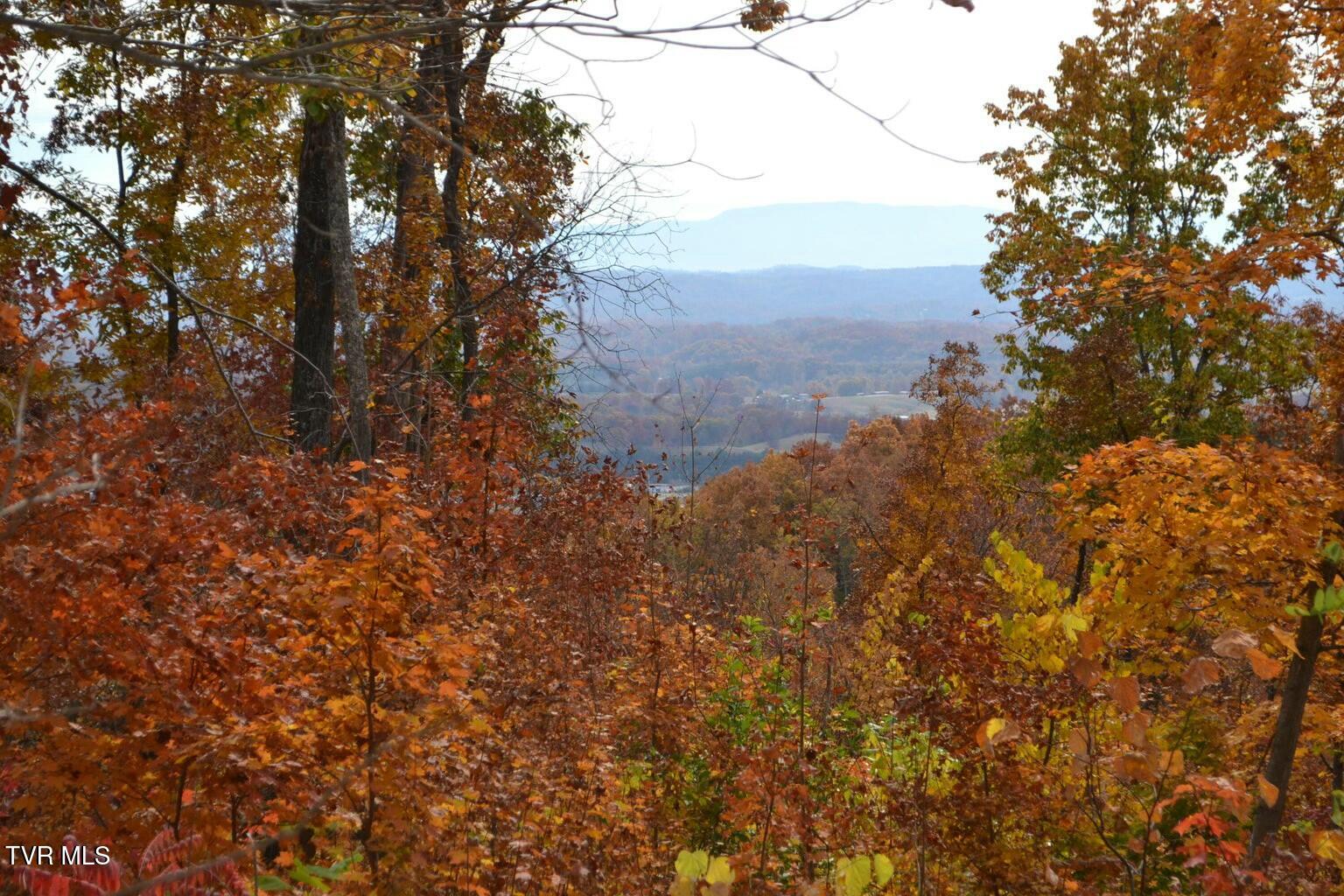 950 Caney Creek Lane Greeneville, TN 37745 - Photo 7 of 51 tempImage7BrqJA