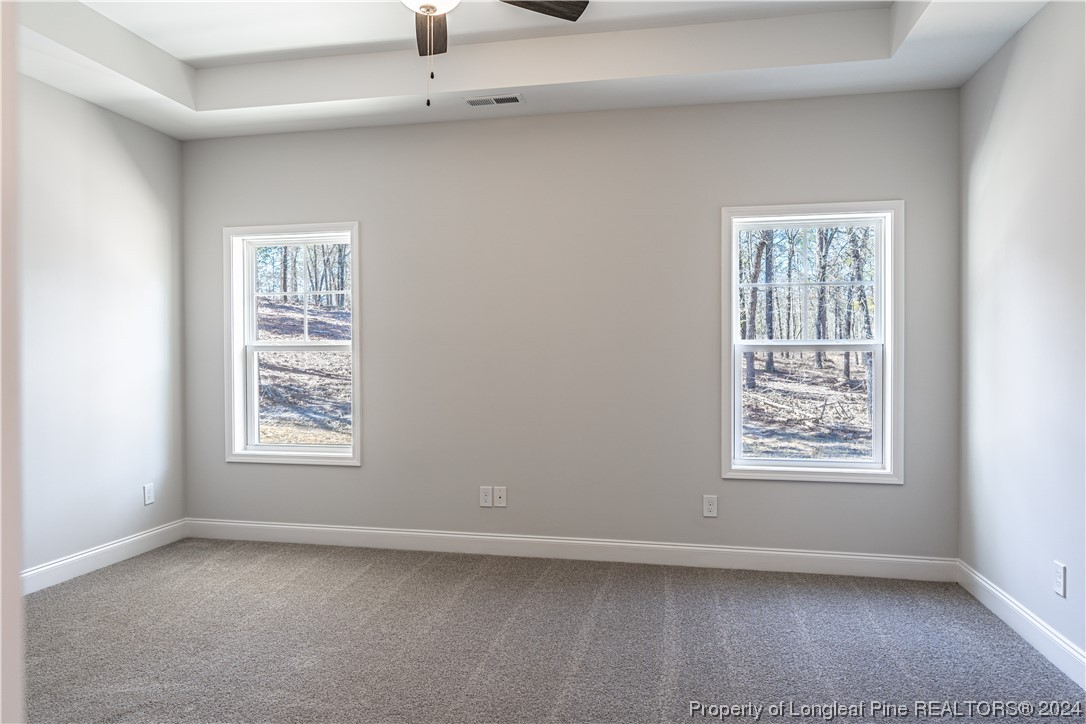 4298 Carthage Road West End, NC 27376 - Photo 16 of 22 Gallery Image 16
