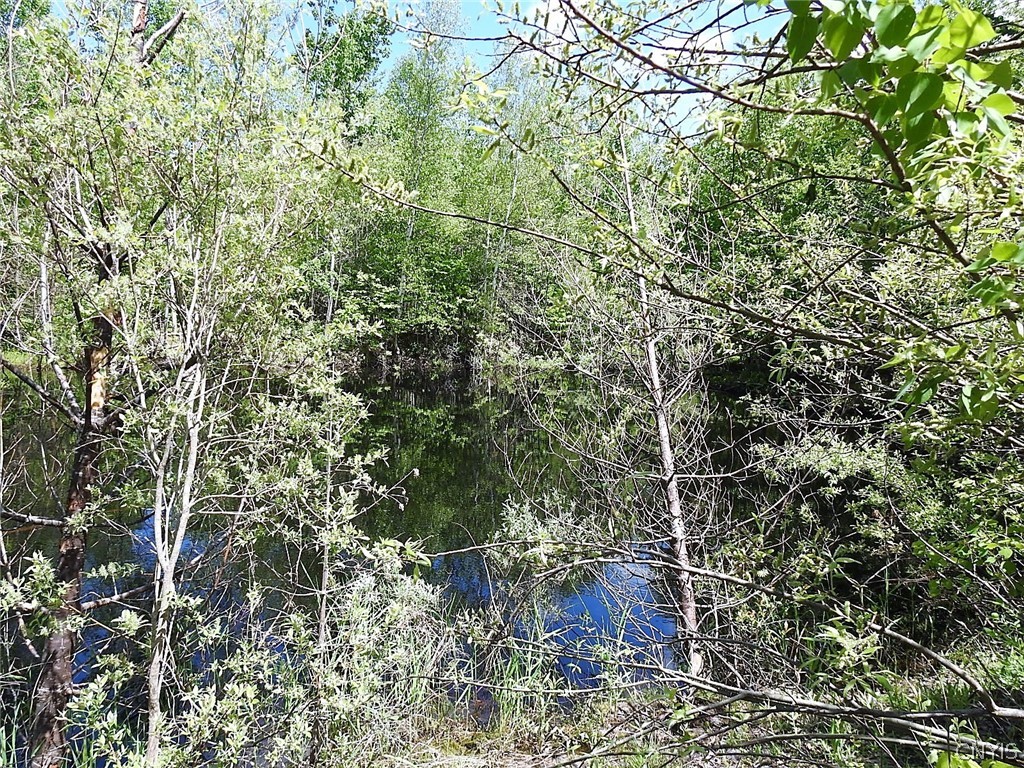 0 Bower Road Constableville, NY 13325 - Photo 34 of 37