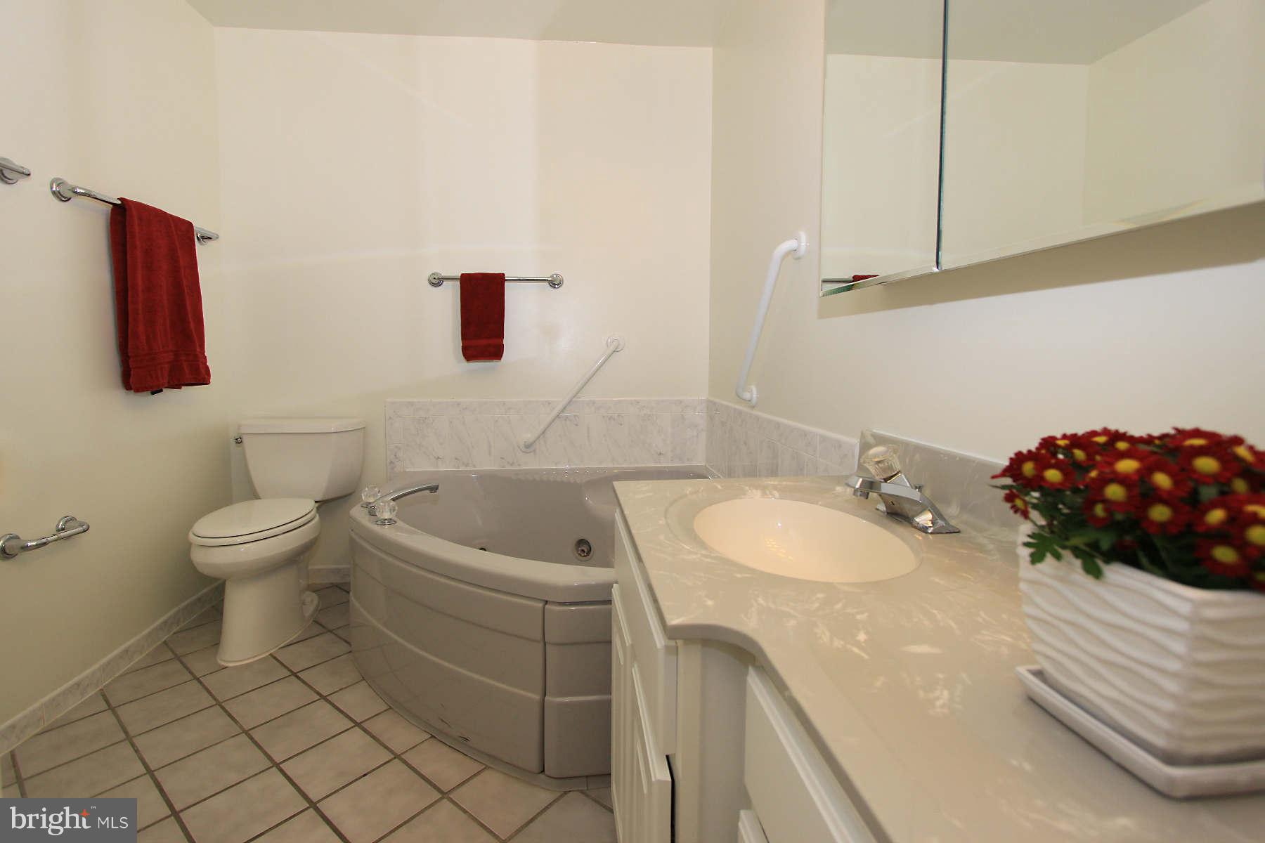 12347 Lima Lane Reston, VA 20191 - Photo 22 of 30 Bath