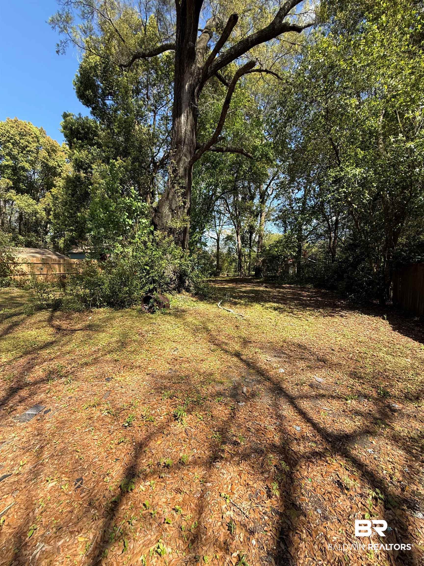 655 Mandrell Street Mobile, AL 36606 - Photo 12 of 12 View of yard featuring view of wooded area