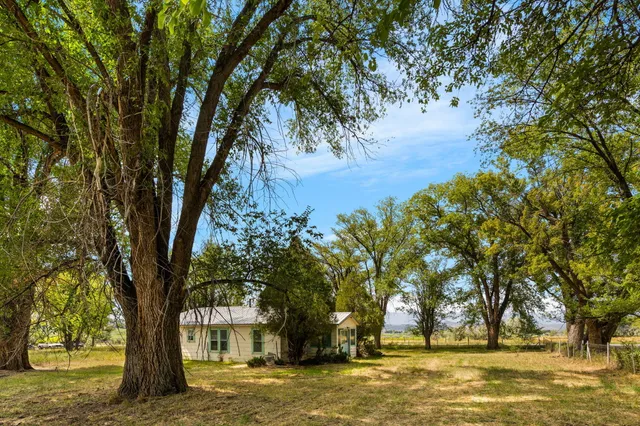 a view of a yard with plants and trees beside of it