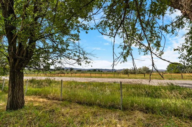 a view of yard with tree