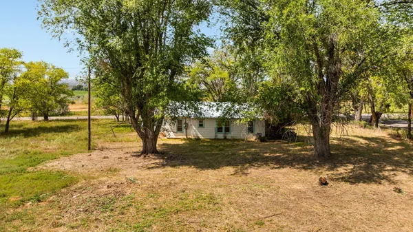 a view of a yard with a tree