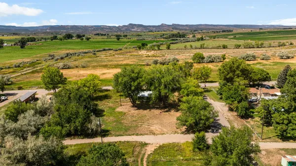 a view of a yard with a tree
