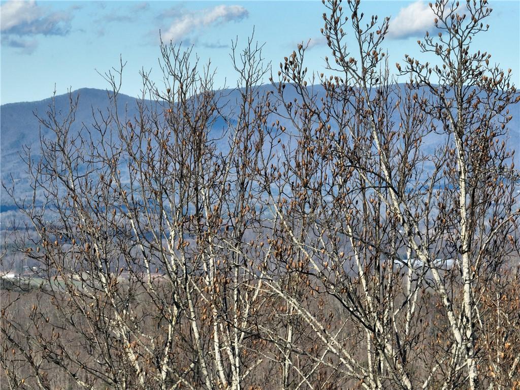 281 Andes Ridge Talking Rock, GA 30175 - Photo 11 of 27 a view of a backyard