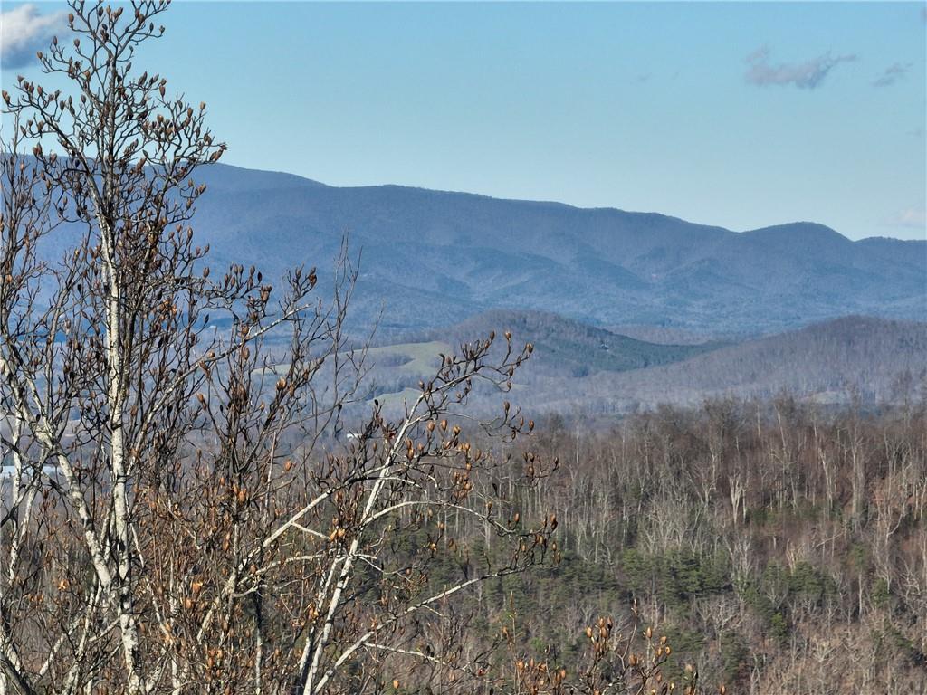 281 Andes Ridge Talking Rock, GA 30175 - Photo 12 of 27 a view of a dry field