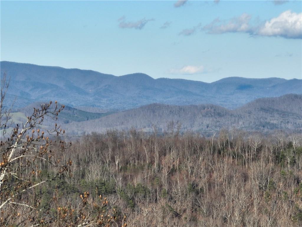 281 Andes Ridge Talking Rock, GA 30175 - Photo 13 of 27 a view of a lush green field