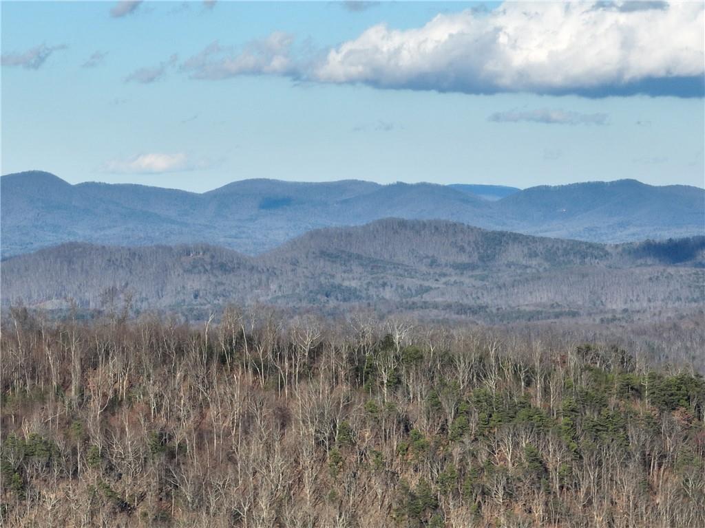 281 Andes Ridge Talking Rock, GA 30175 - Photo 14 of 27 a view of an outdoor space and mountain view