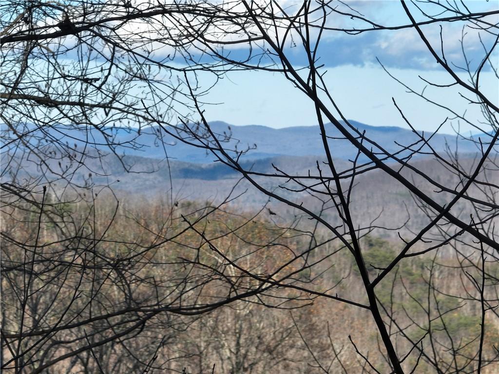 281 Andes Ridge Talking Rock, GA 30175 - Photo 16 of 27 a picture of tree