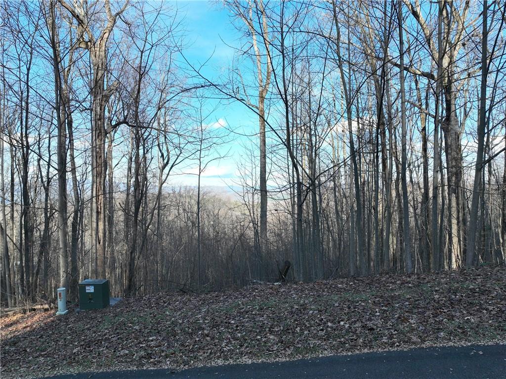 281 Andes Ridge Talking Rock, GA 30175 - Photo 17 of 27 a view of backyard with tree