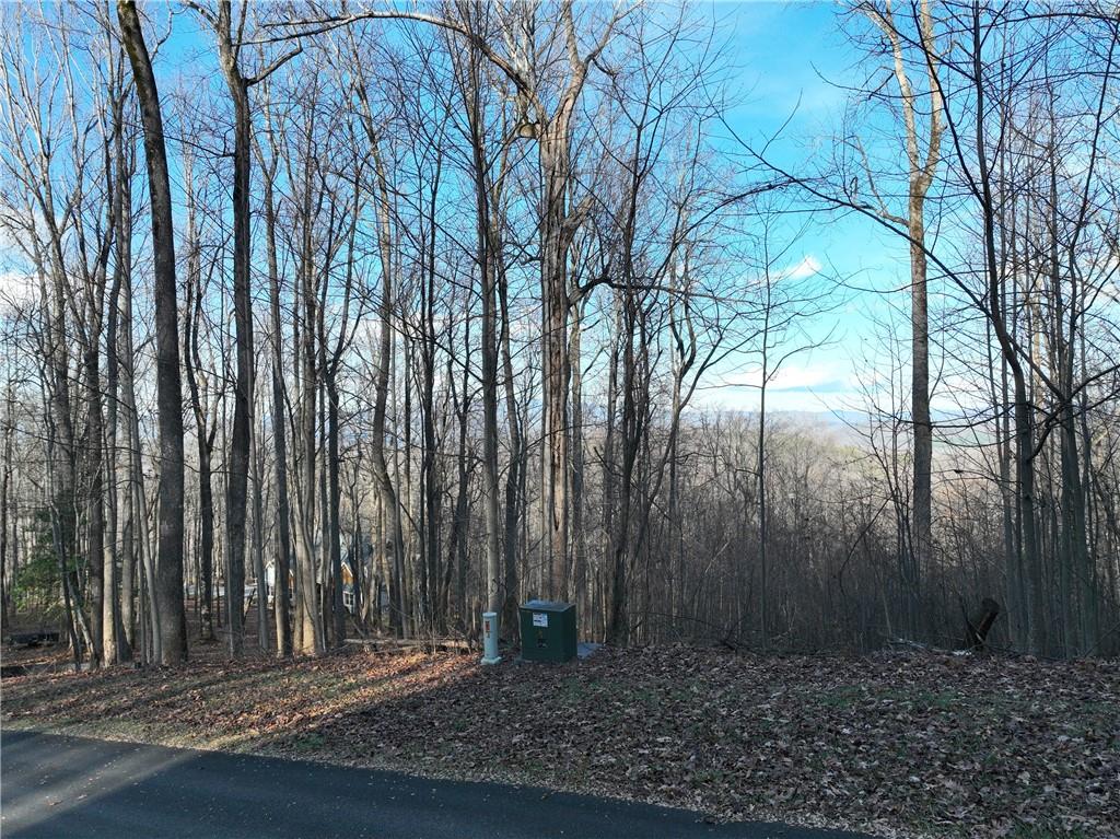 281 Andes Ridge Talking Rock, GA 30175 - Photo 18 of 27 a view of backyard with green space
