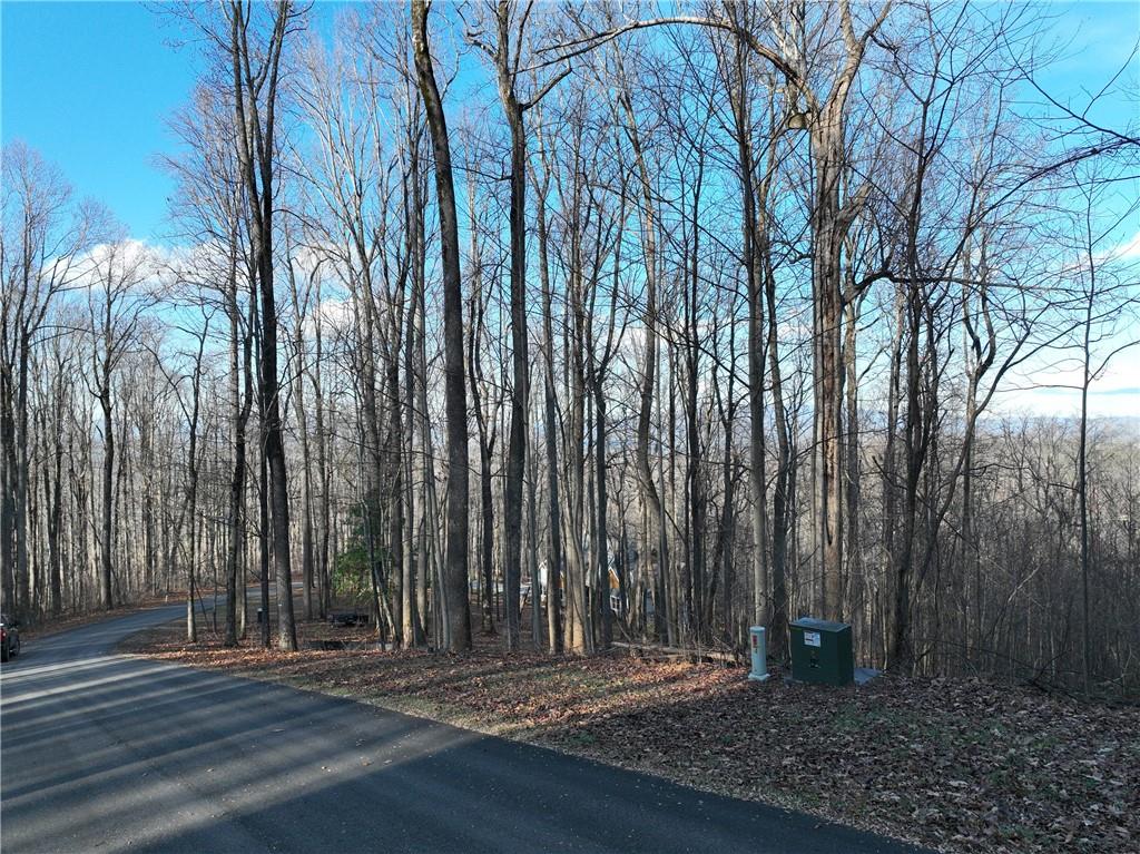 281 Andes Ridge Talking Rock, GA 30175 - Photo 19 of 27 a view of outdoor space with deck