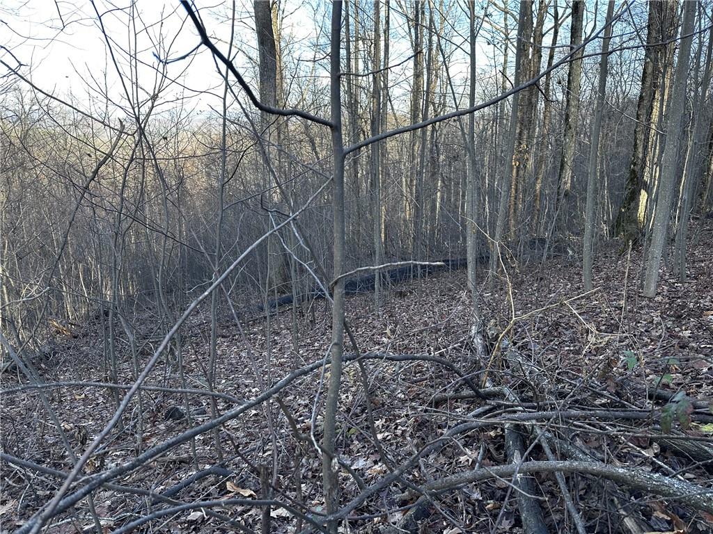 281 Andes Ridge Talking Rock, GA 30175 - Photo 20 of 27 a backyard of a house with lots of green space