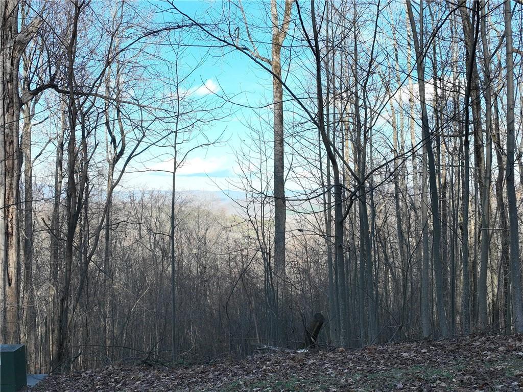 281 Andes Ridge Talking Rock, GA 30175 - Photo 2 of 27 a backyard of a house with lots of green space