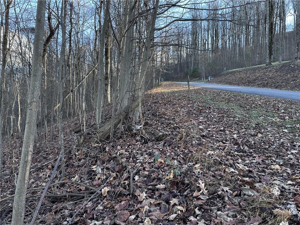 281 Andes Ridge Talking Rock, GA 30175 - Photo 23 of 27 a backyard of a house