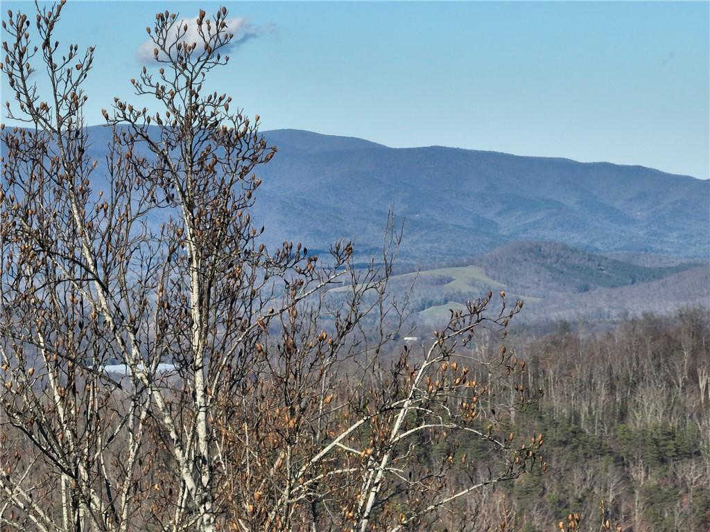 281 Andes Ridge Talking Rock, GA 30175 - Photo 3 of 27 a view of a dry field with trees in the background