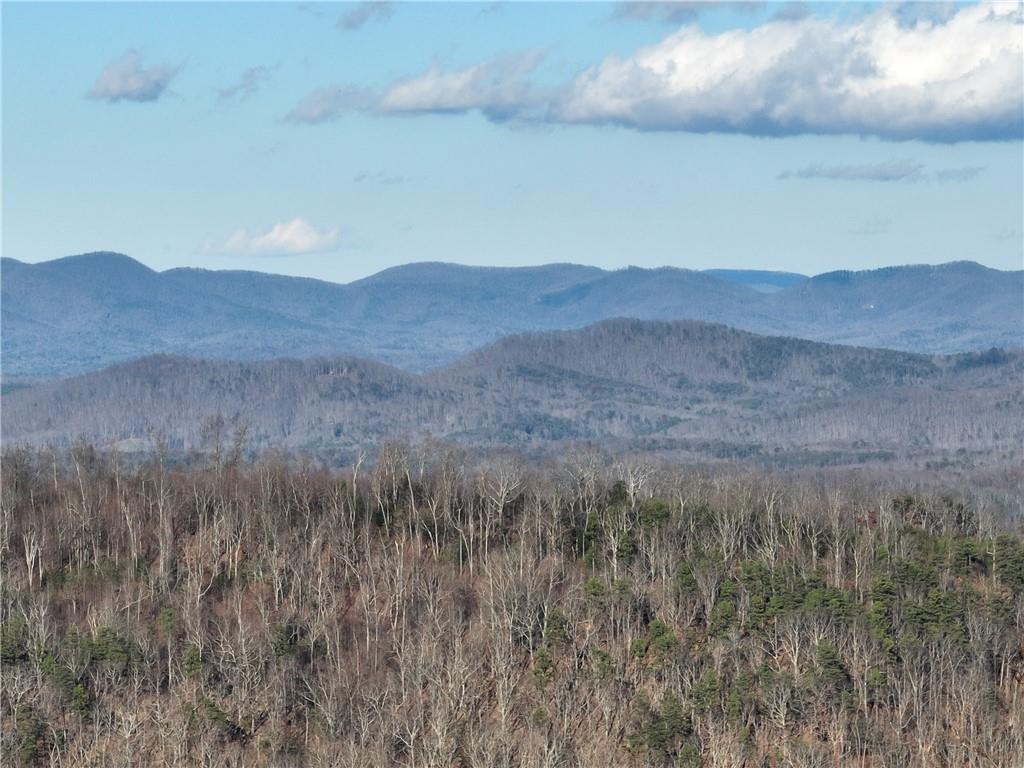281 Andes Ridge Talking Rock, GA 30175 - Photo 4 of 27 a view of a dry forest