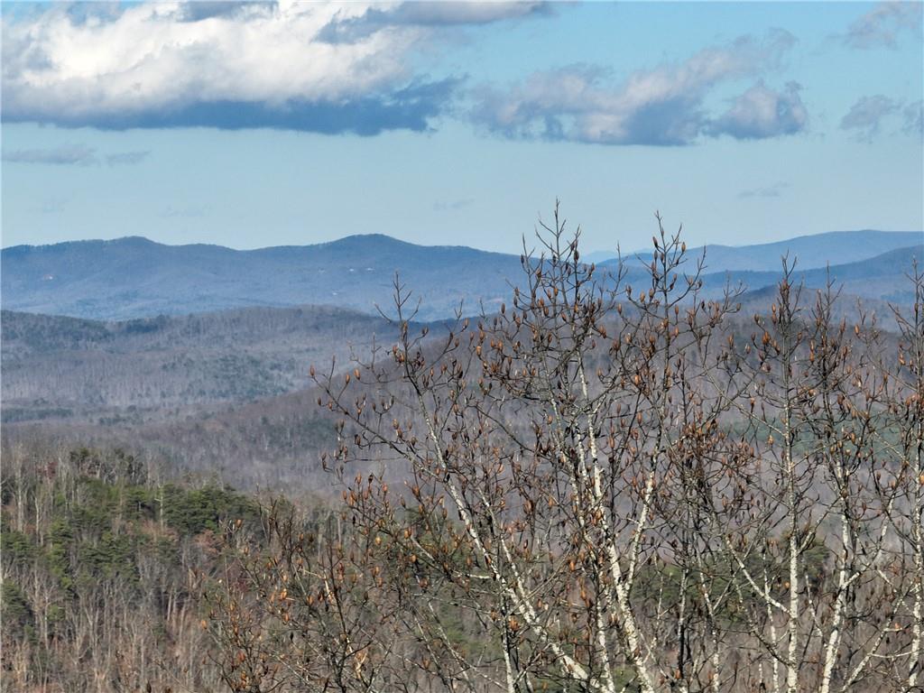 281 Andes Ridge Talking Rock, GA 30175 - Photo 5 of 27